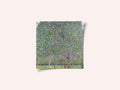 Pear Tree (1903)