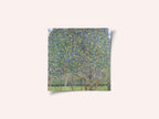 Pear Tree (1903)