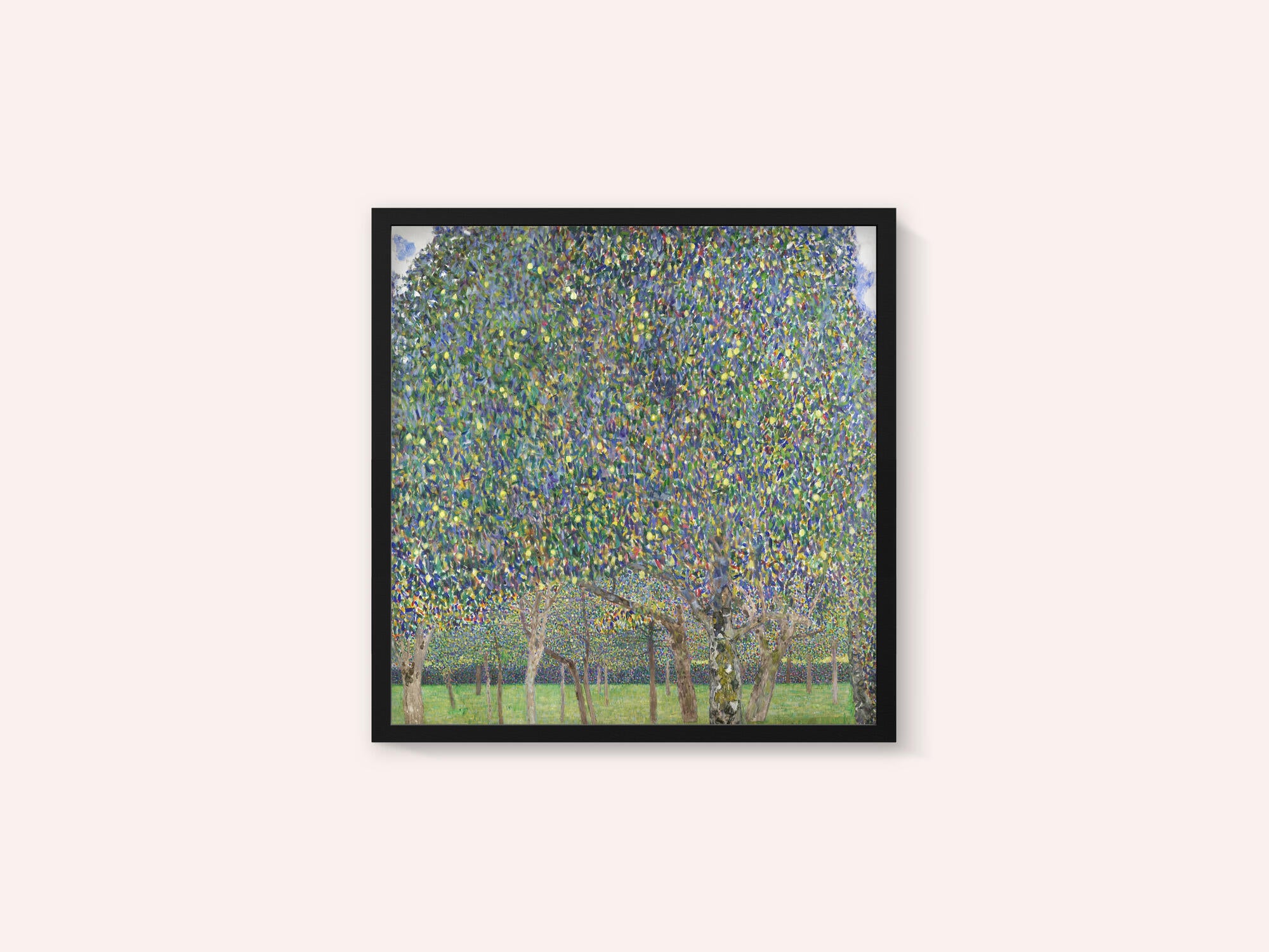 Pear Tree (1903)