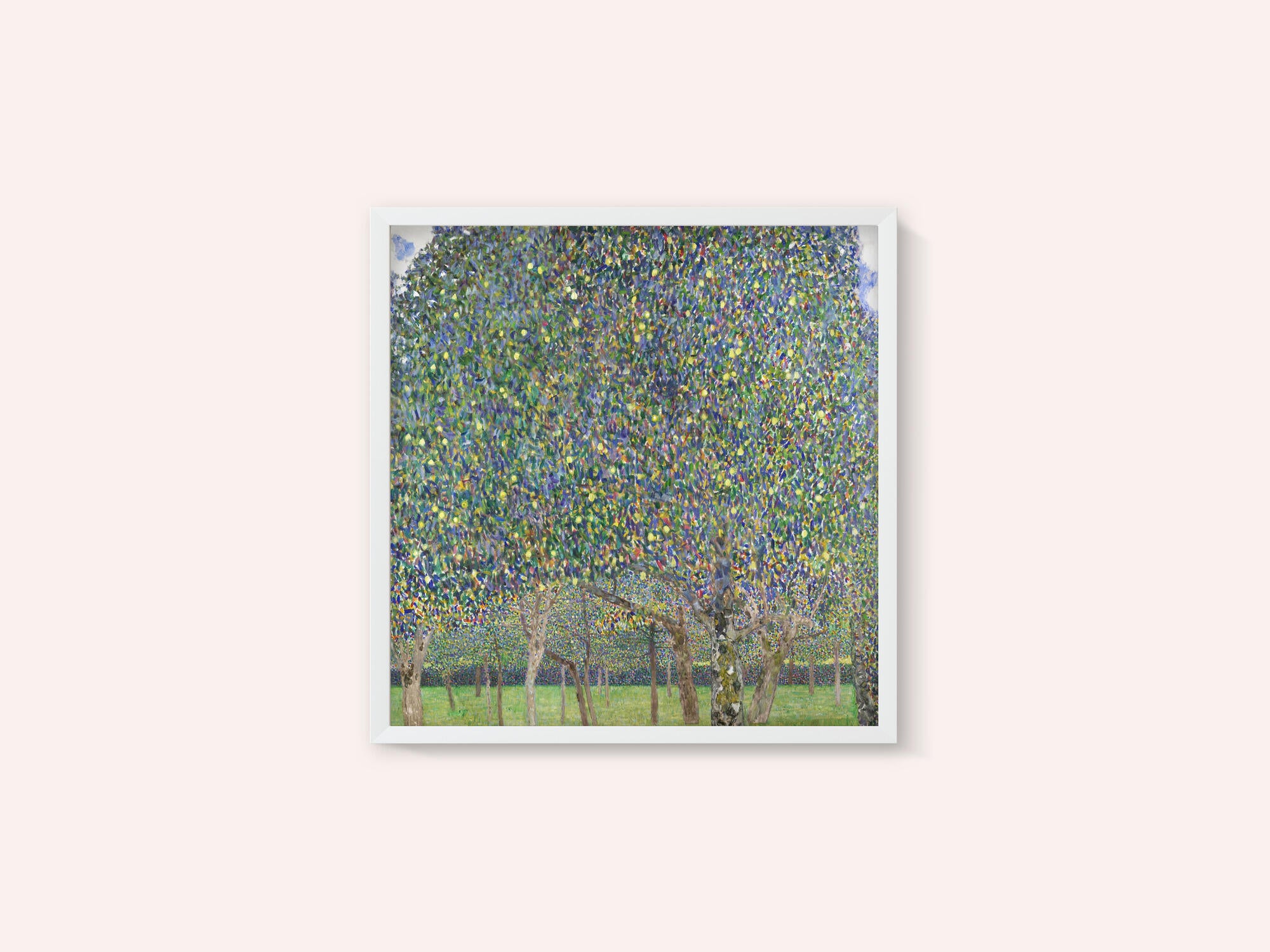 Pear Tree (1903)