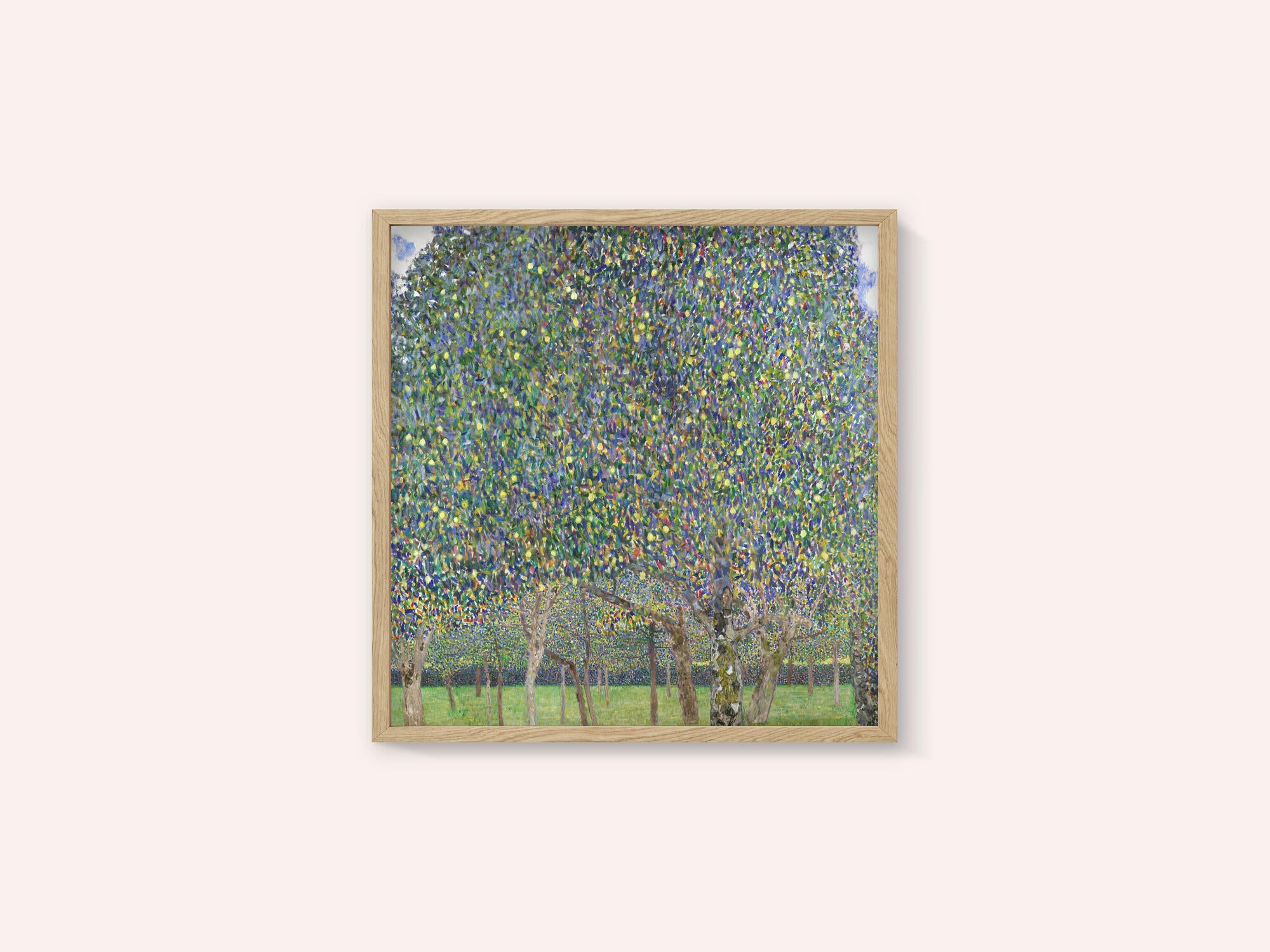 Pear Tree (1903)