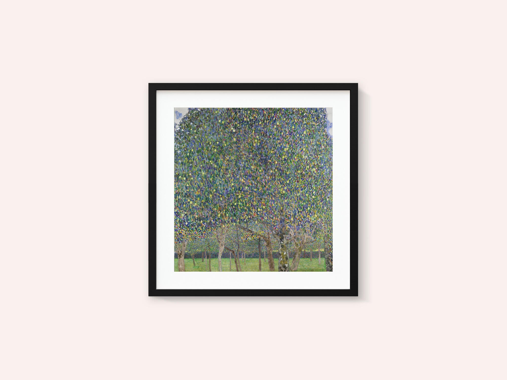 Pear Tree (1903)