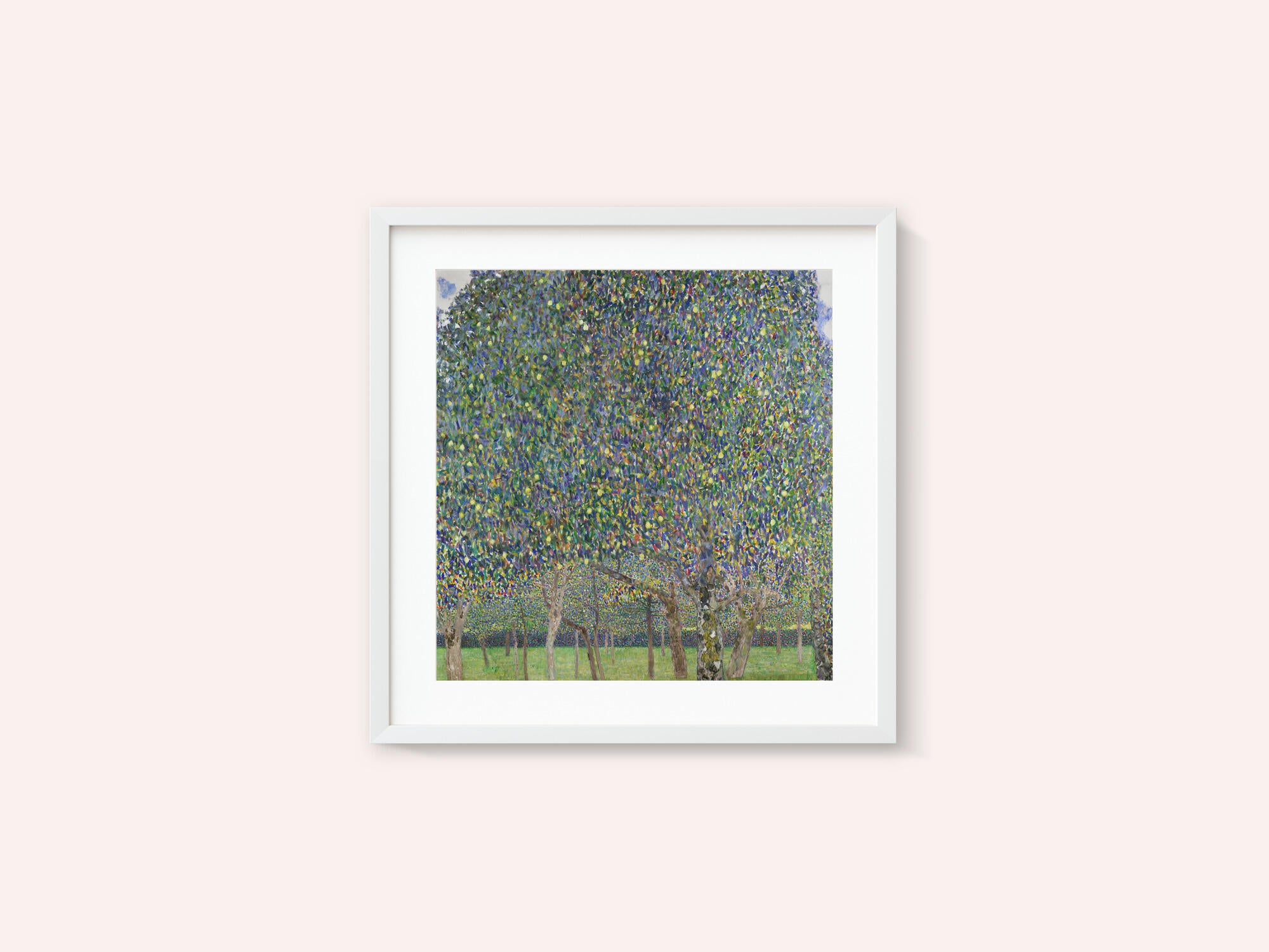 Pear Tree (1903)