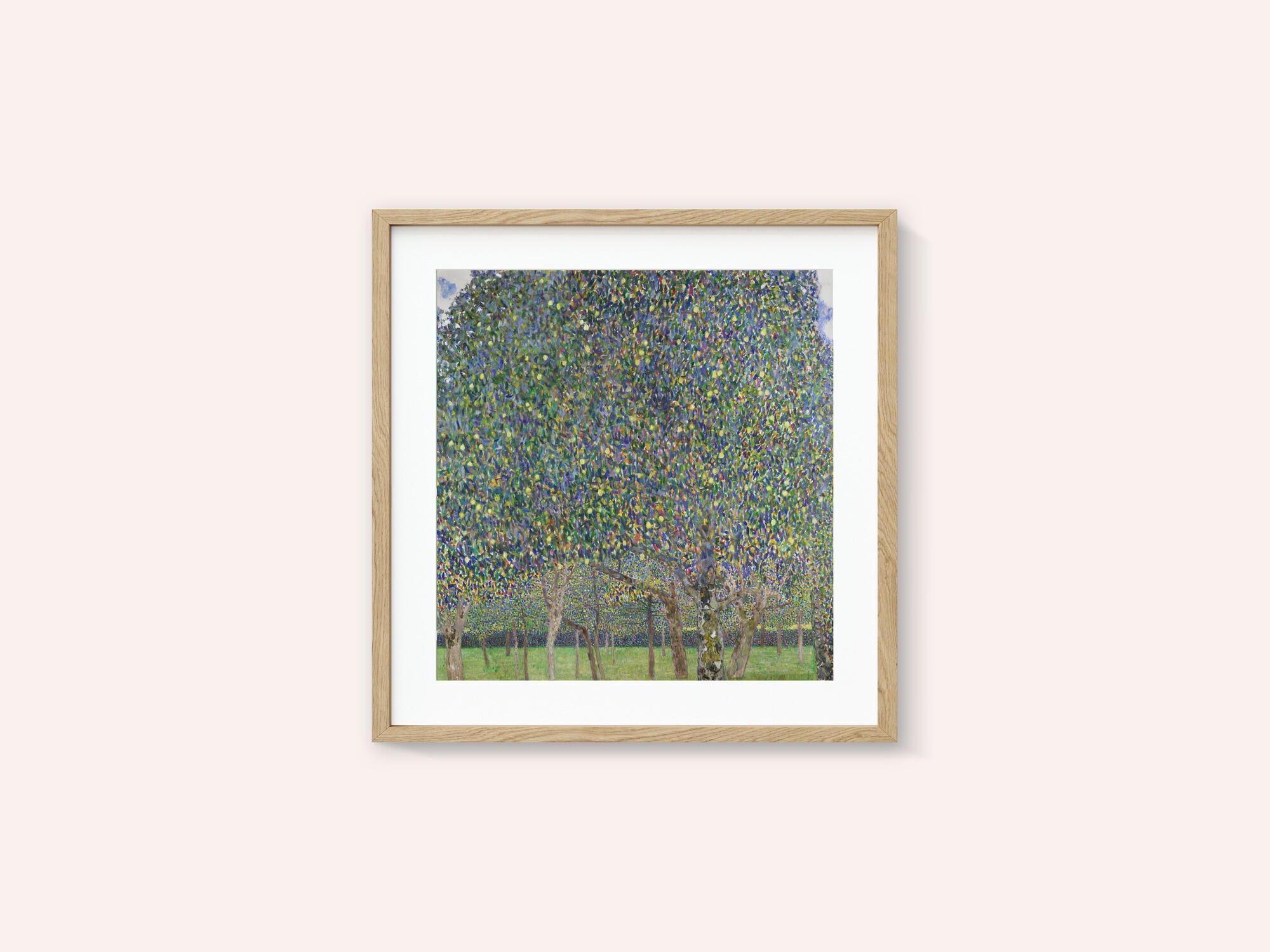 Pear Tree (1903)