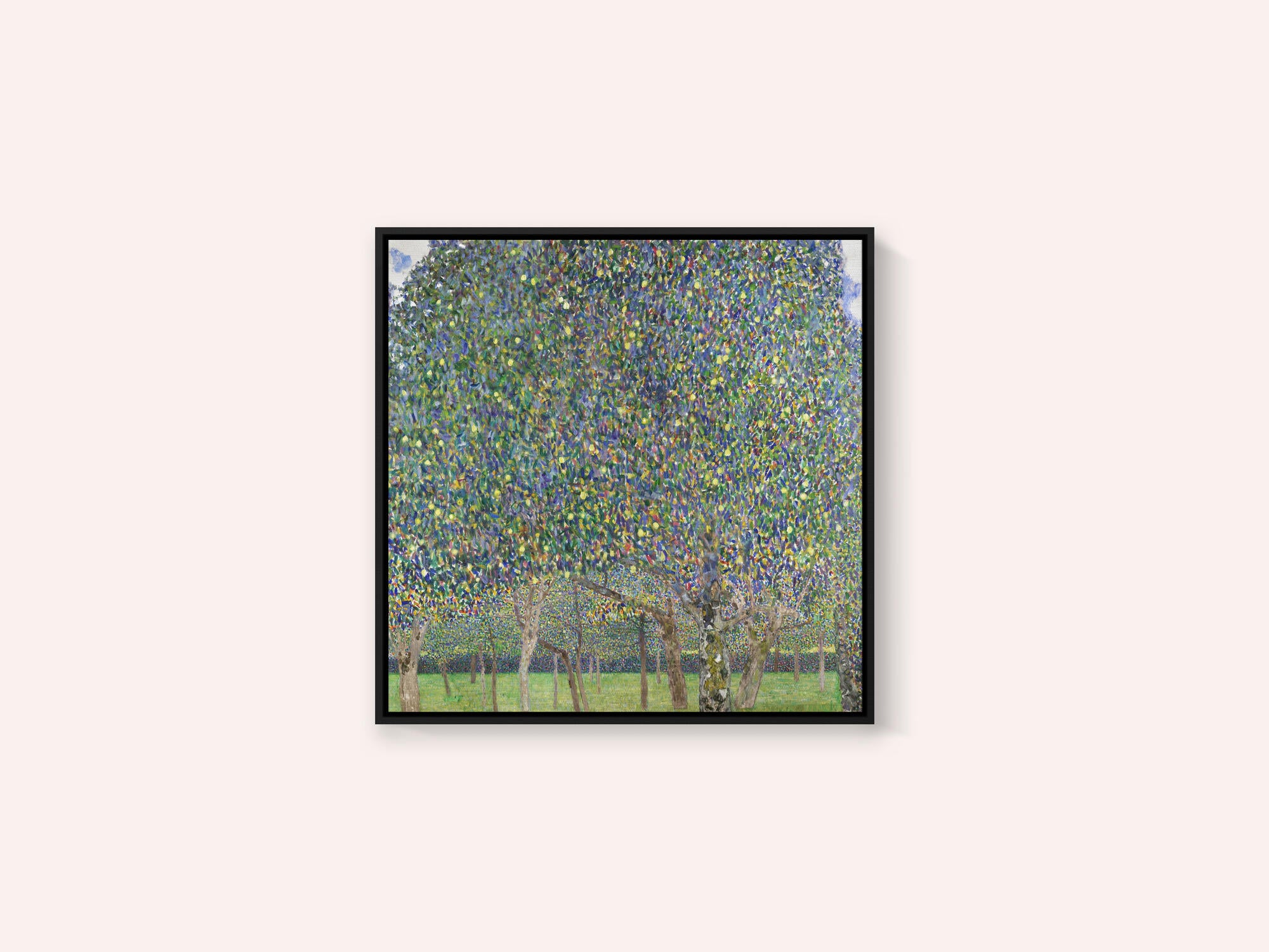Pear Tree (1903)