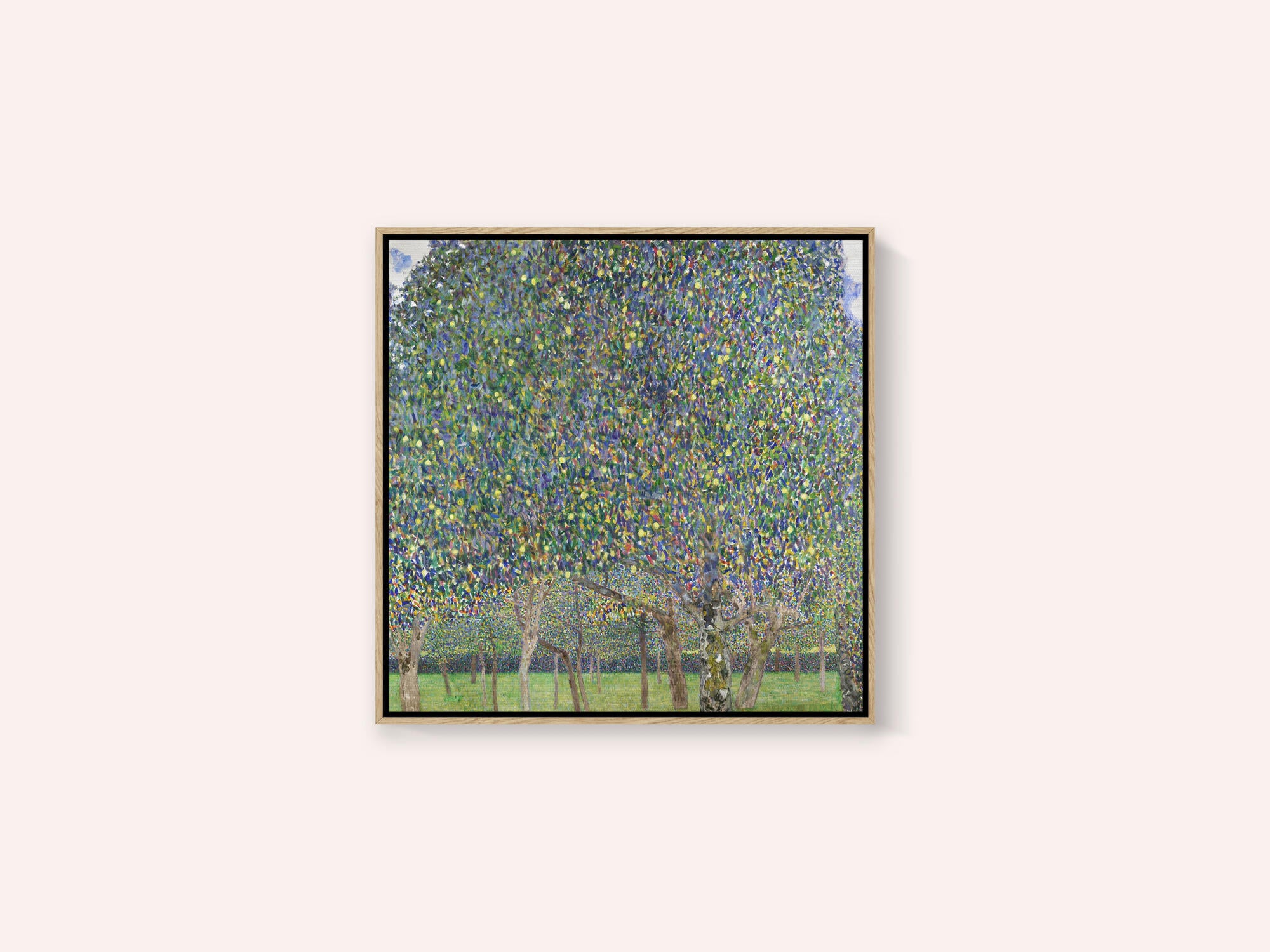 Pear Tree (1903)