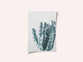 Cactus Elegance