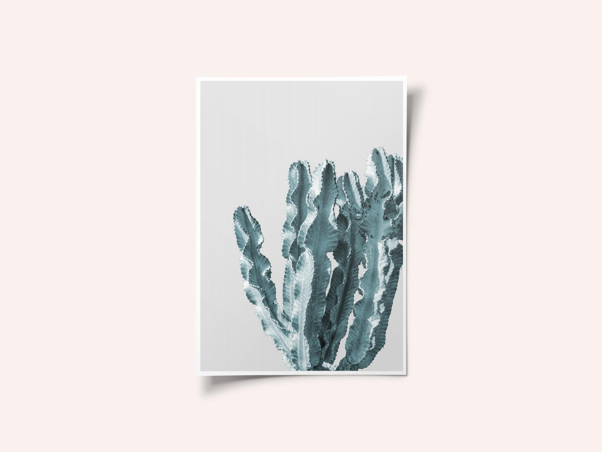 Cactus Elegance