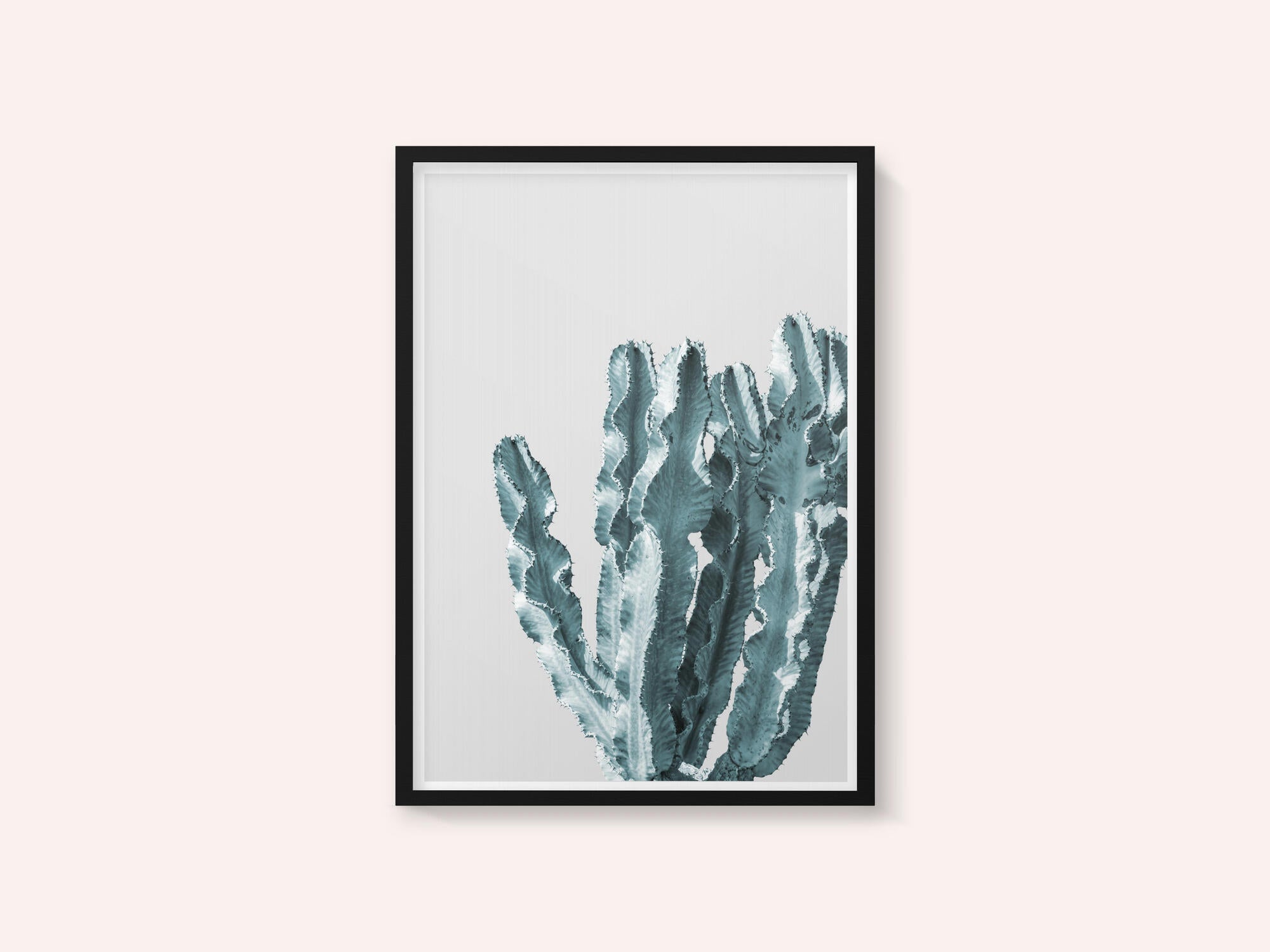 Cactus Elegance