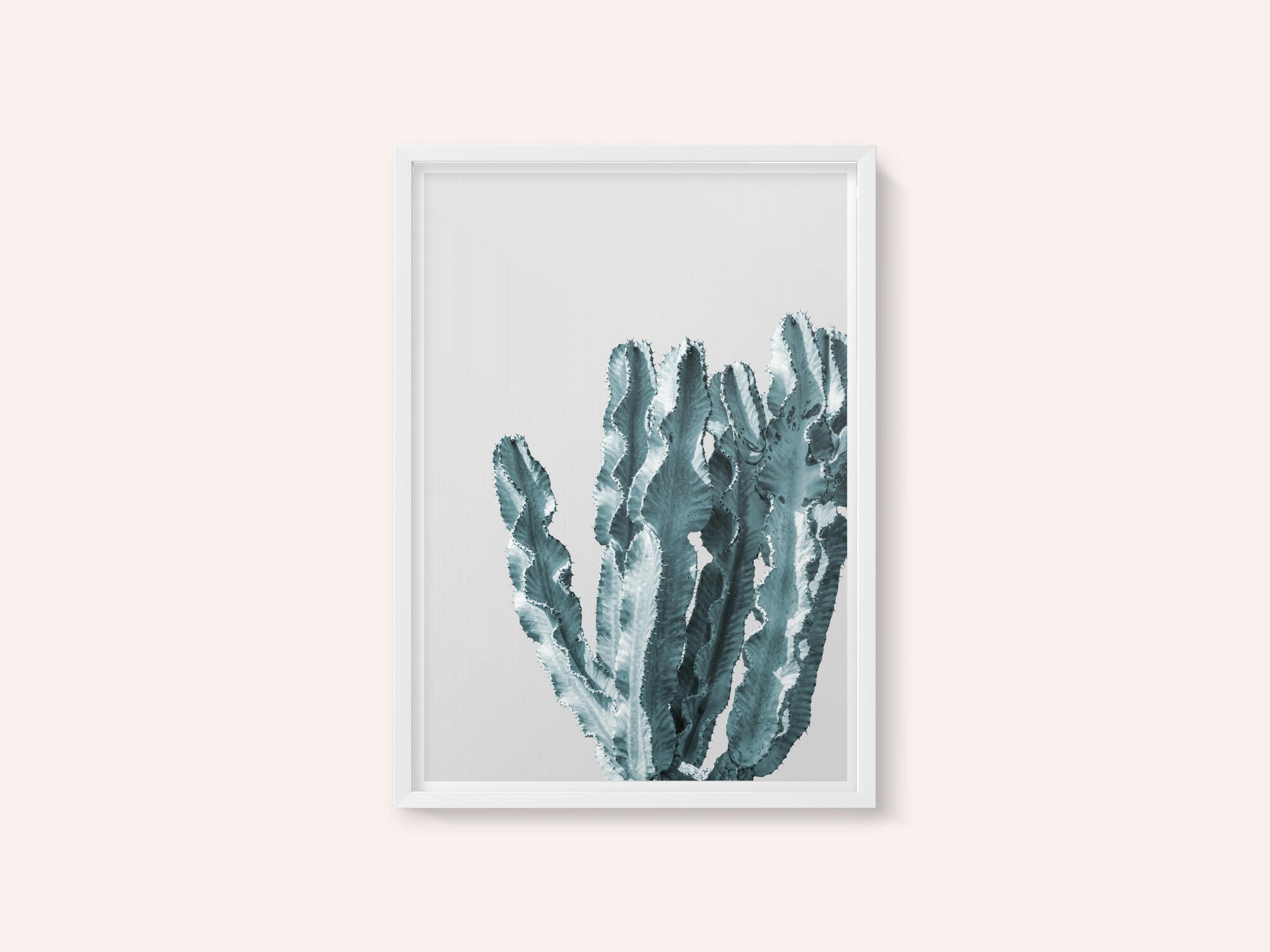 Cactus Elegance