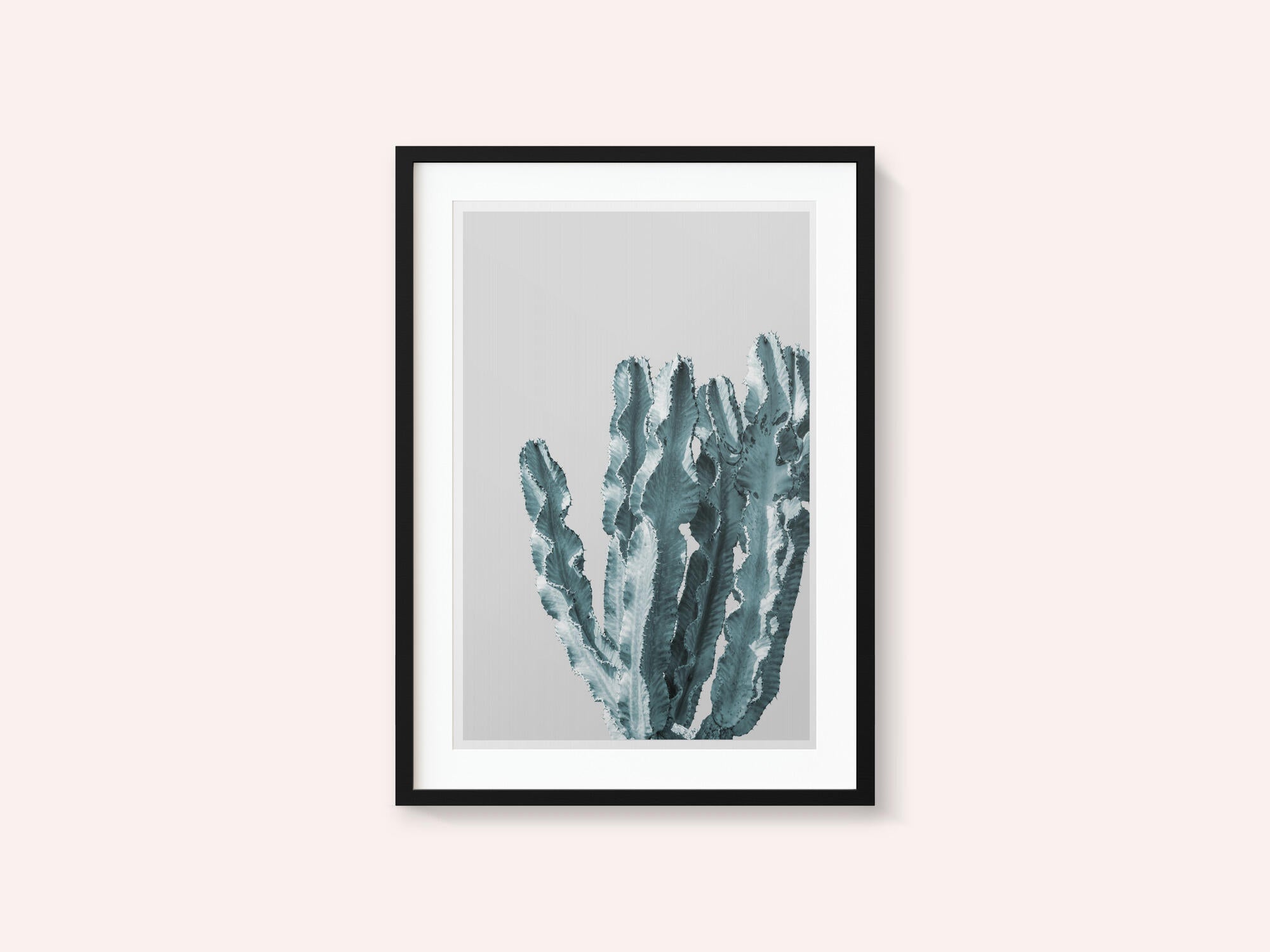 Cactus Elegance