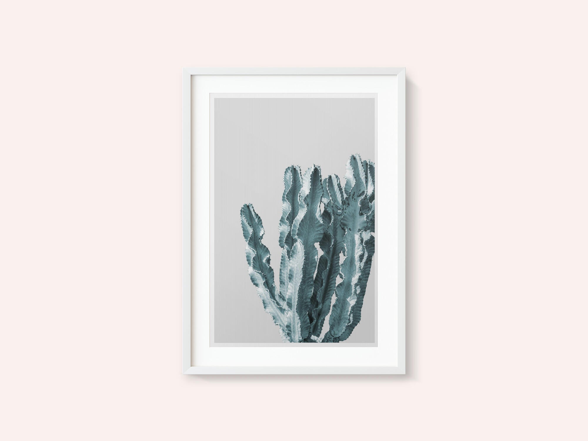 Cactus Elegance