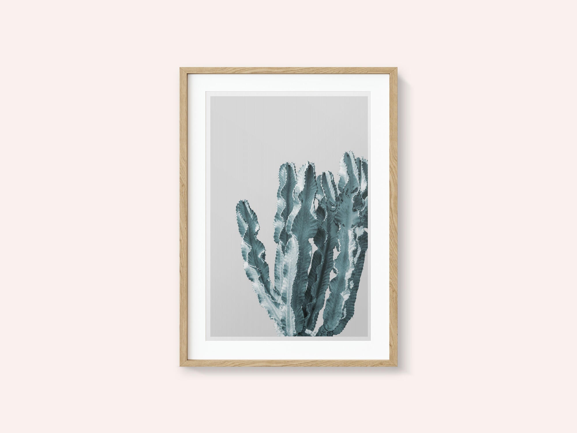 Cactus Elegance