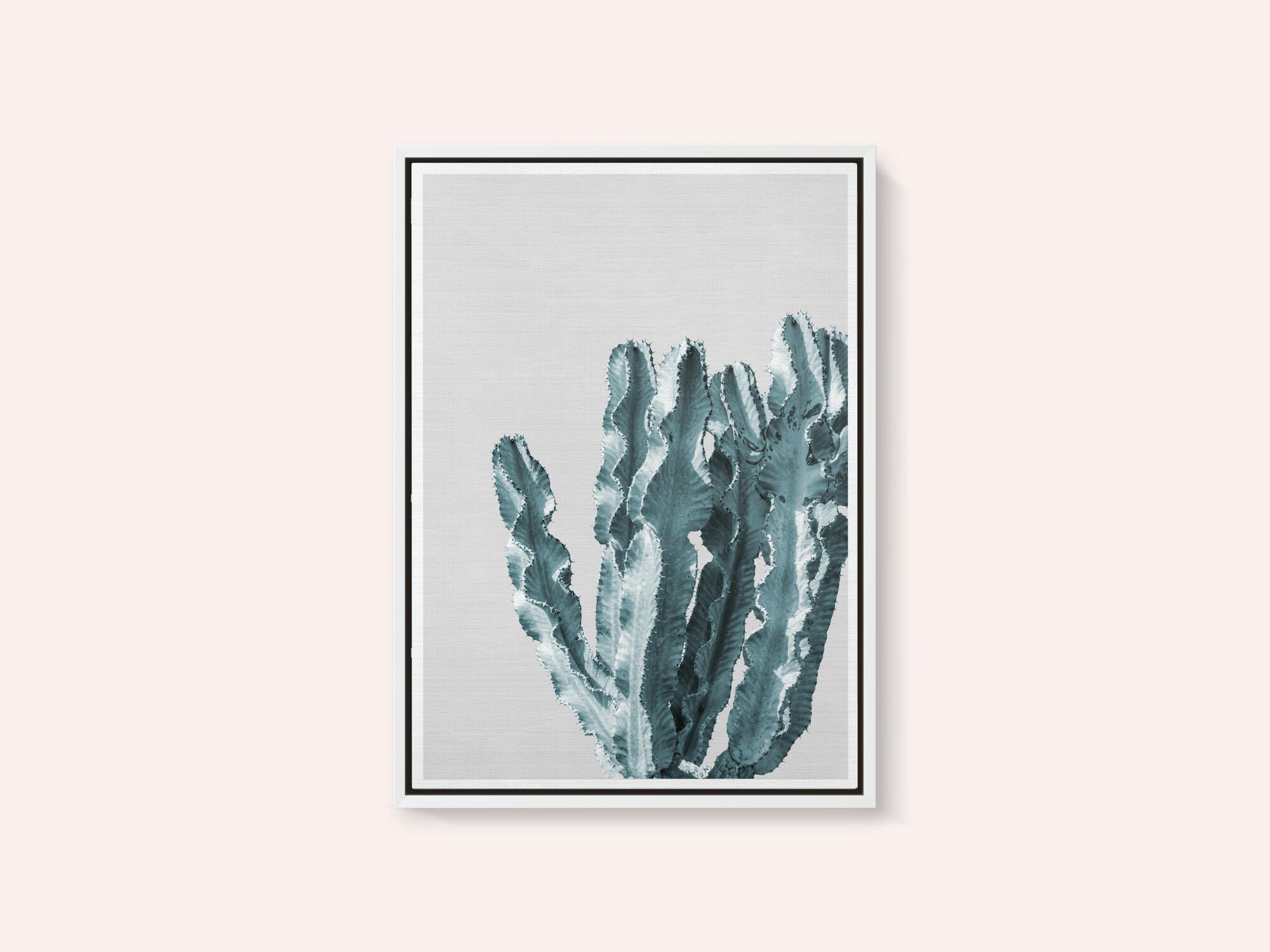 Cactus Elegance