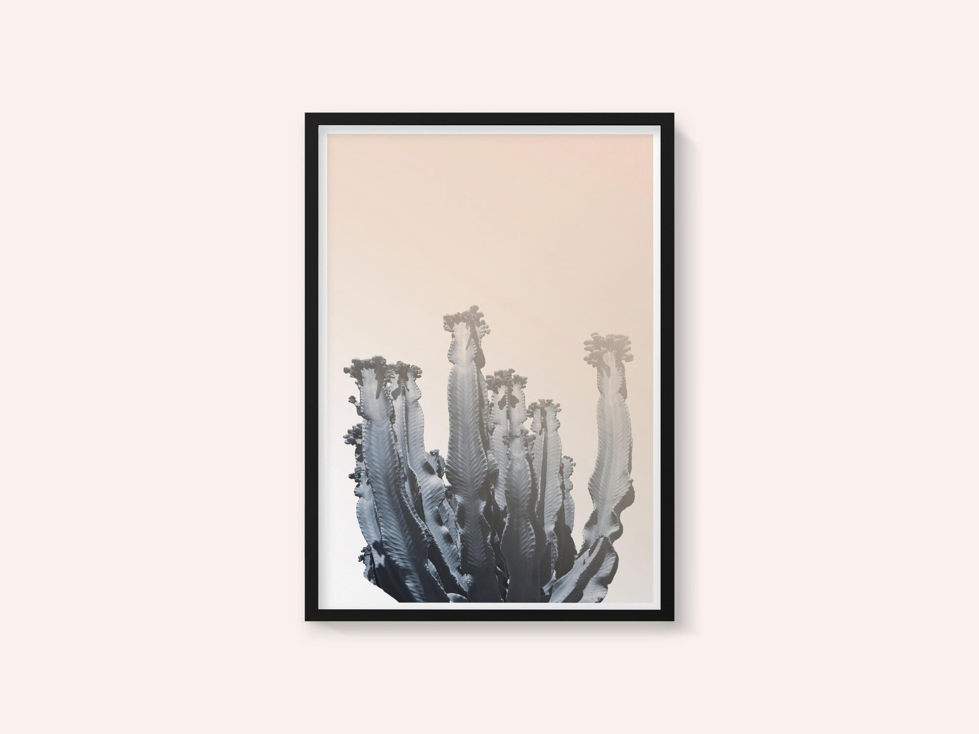 Cactus Silhouettes
