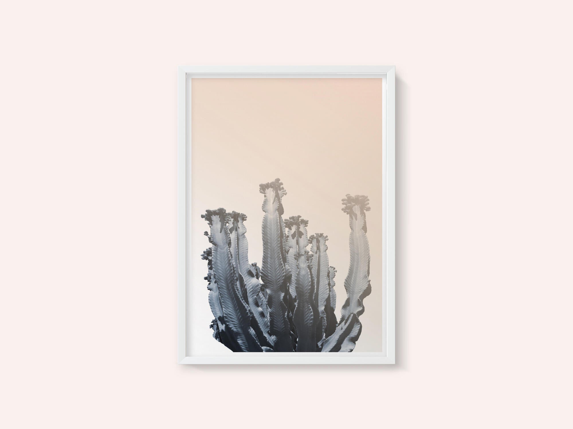 Cactus Silhouettes