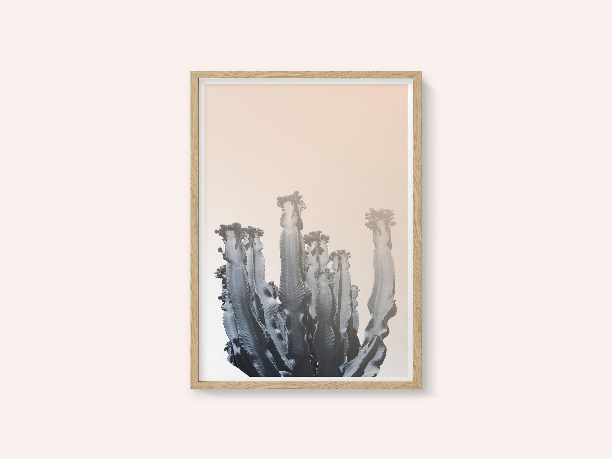Cactus Silhouettes