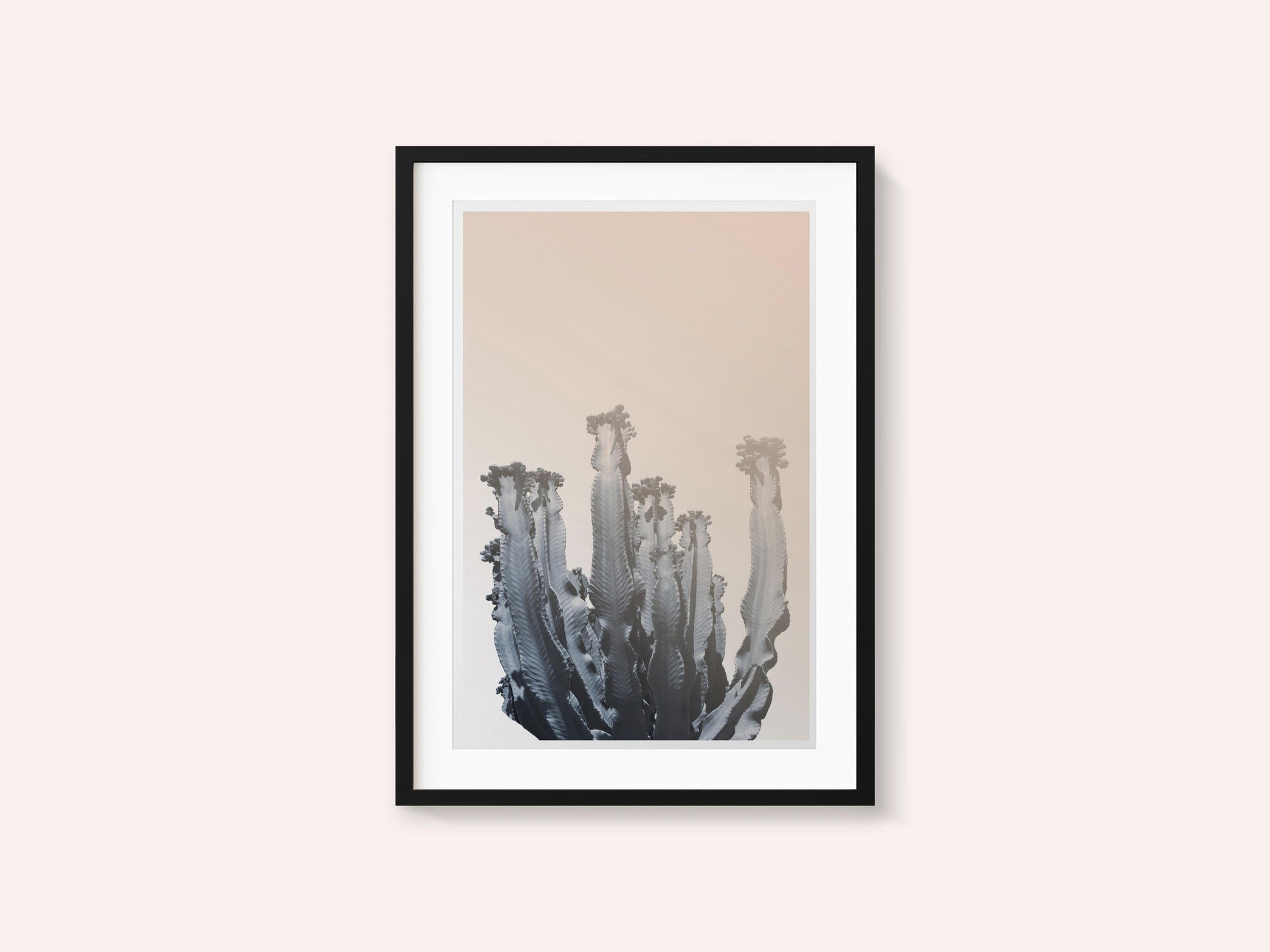 Cactus Silhouettes