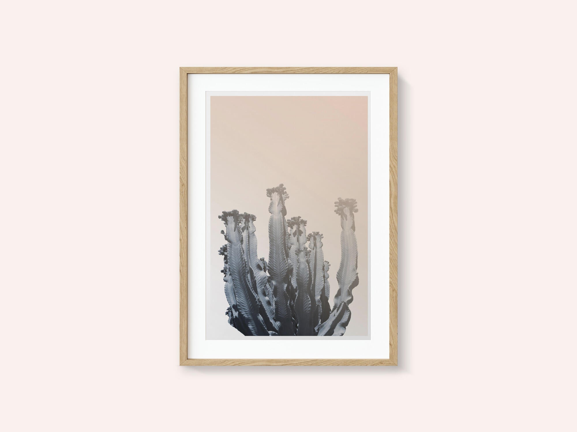 Cactus Silhouettes