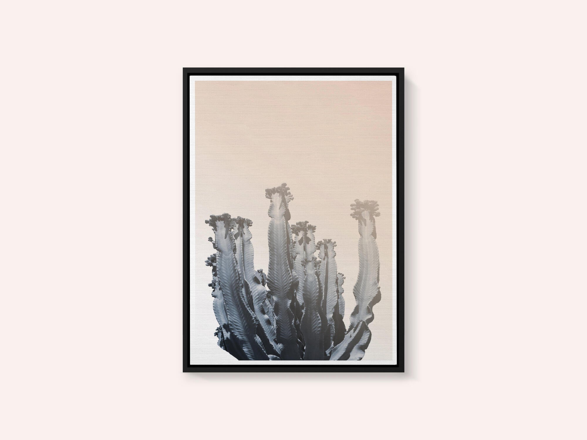 Cactus Silhouettes