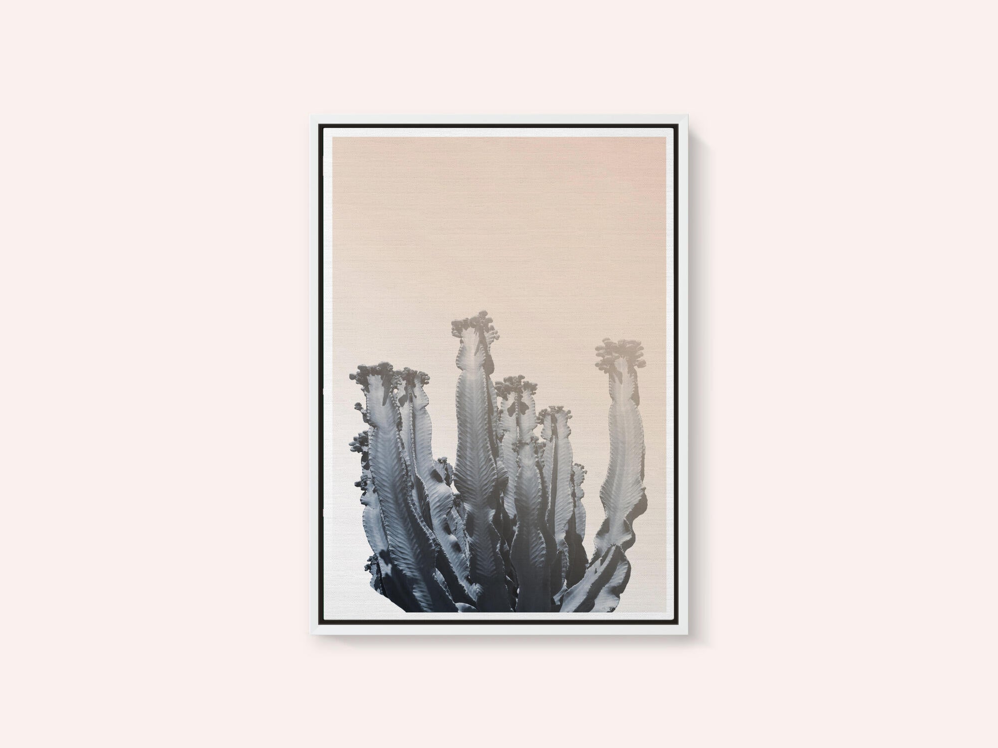 Cactus Silhouettes