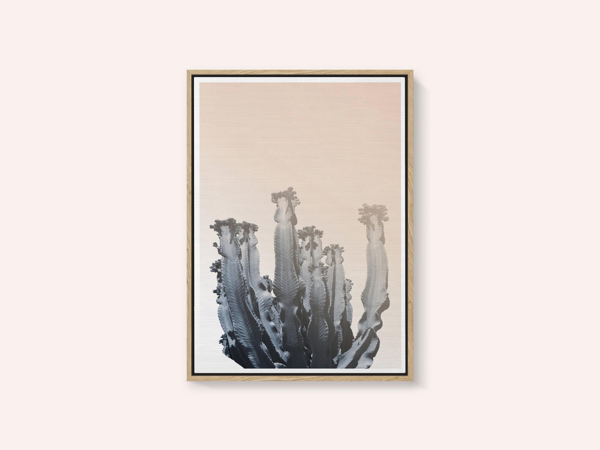 Cactus Silhouettes