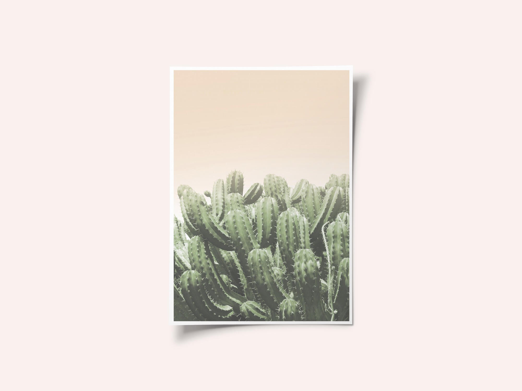Desert’s Embrace