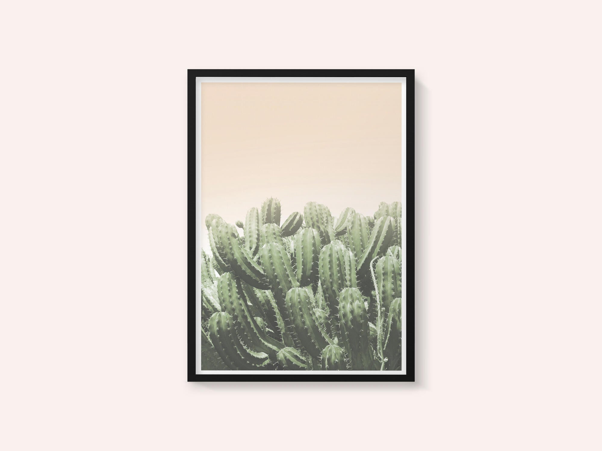Desert’s Embrace