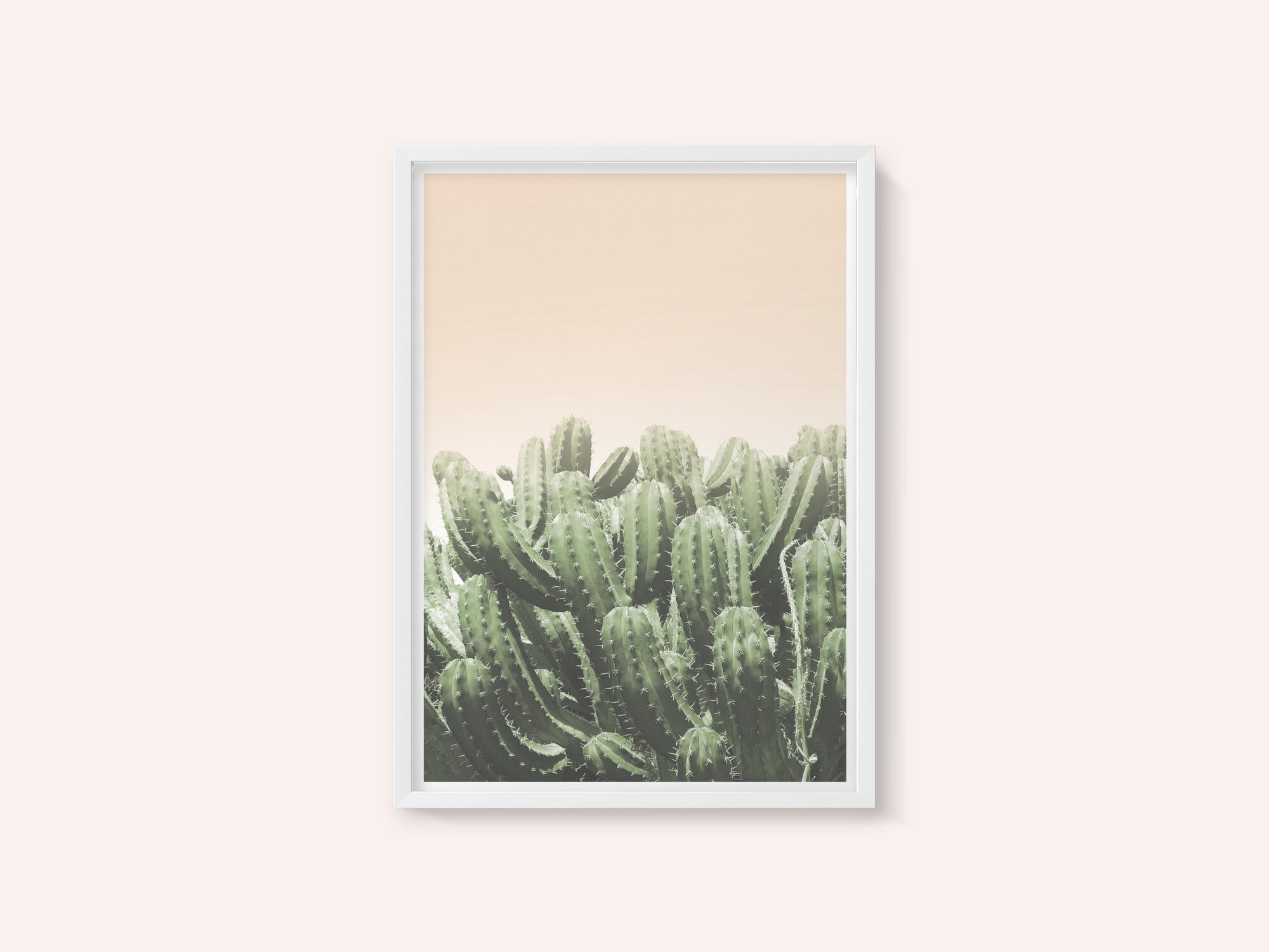 Desert’s Embrace