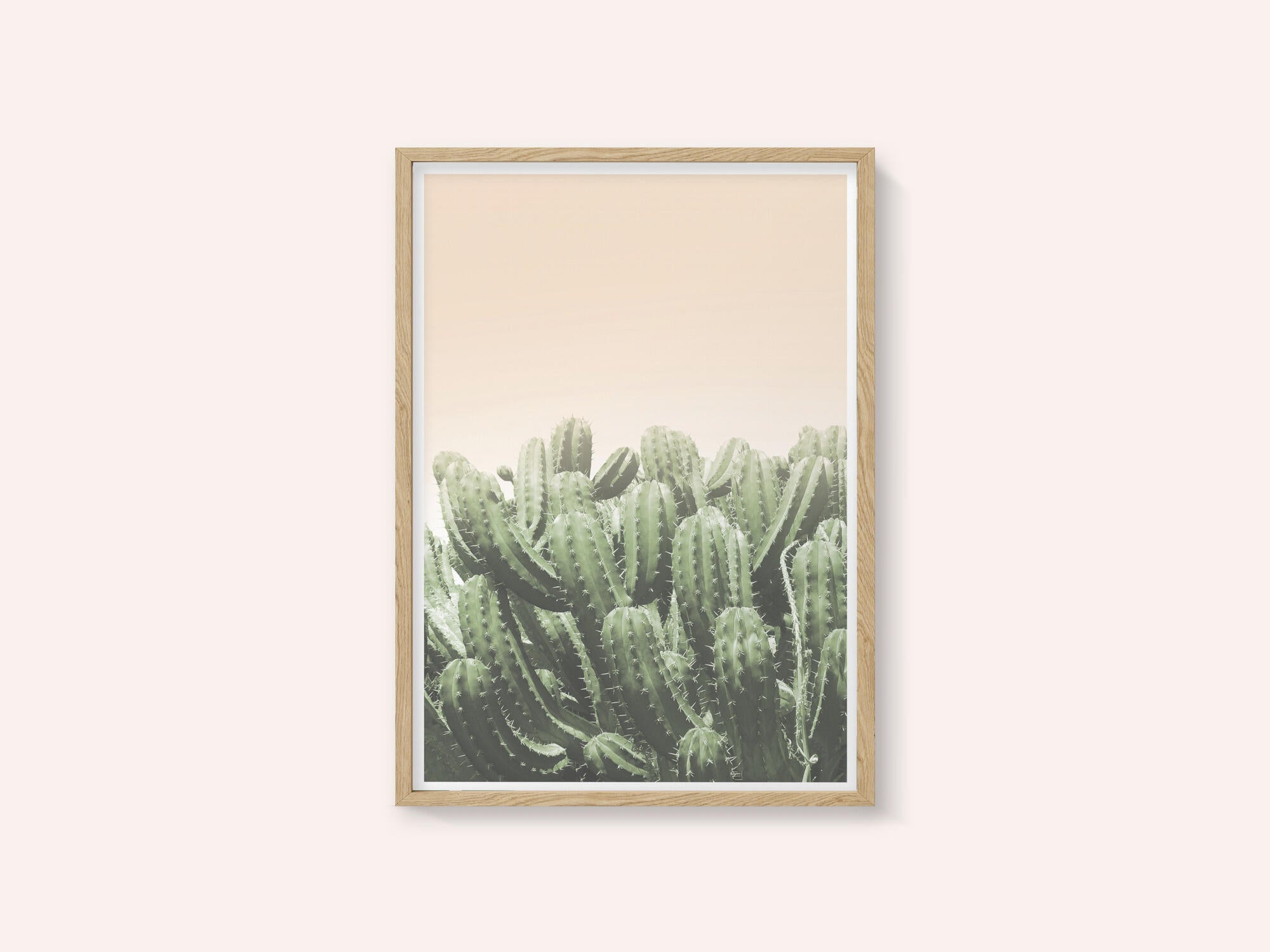 Desert’s Embrace