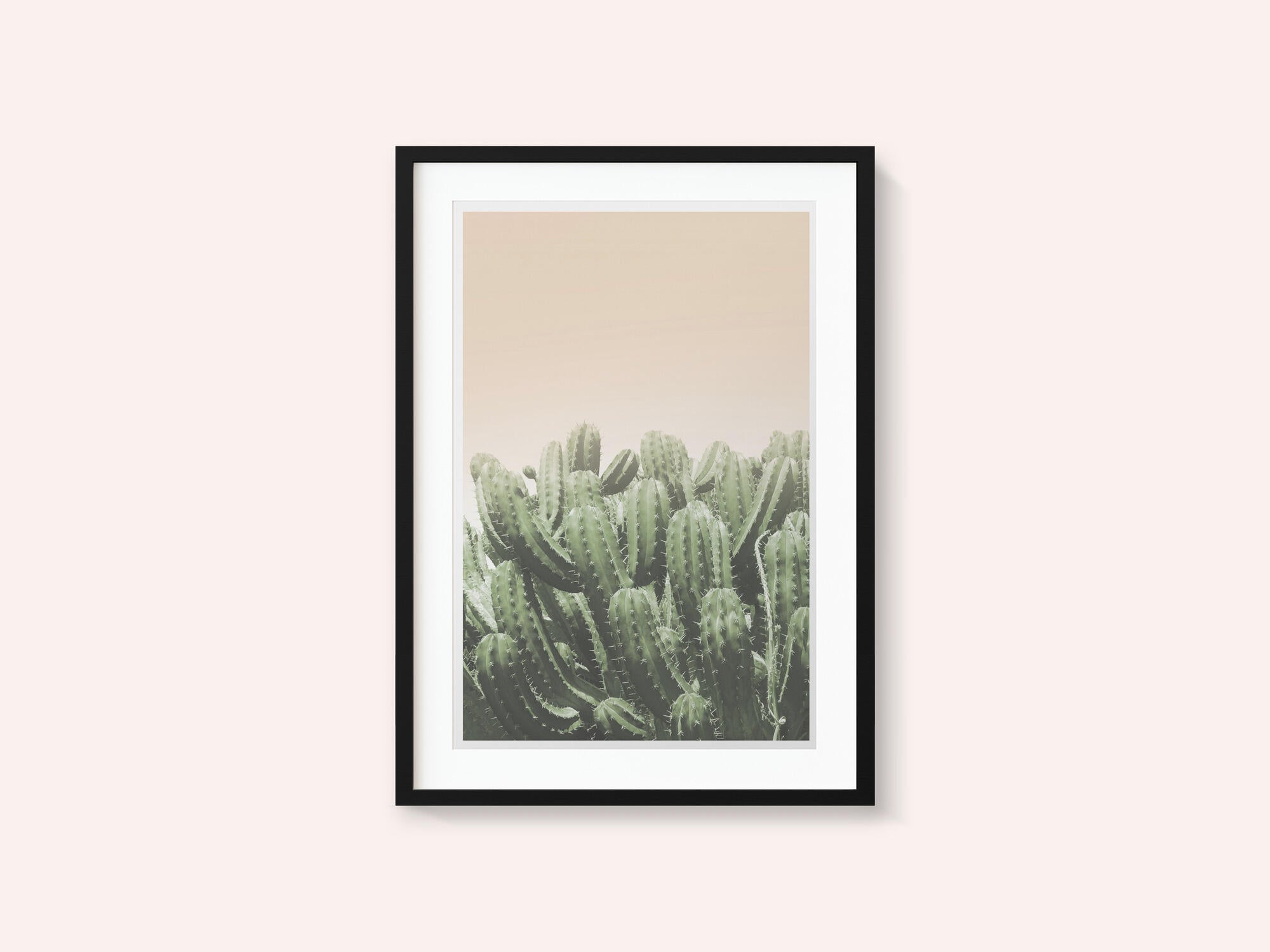Desert’s Embrace