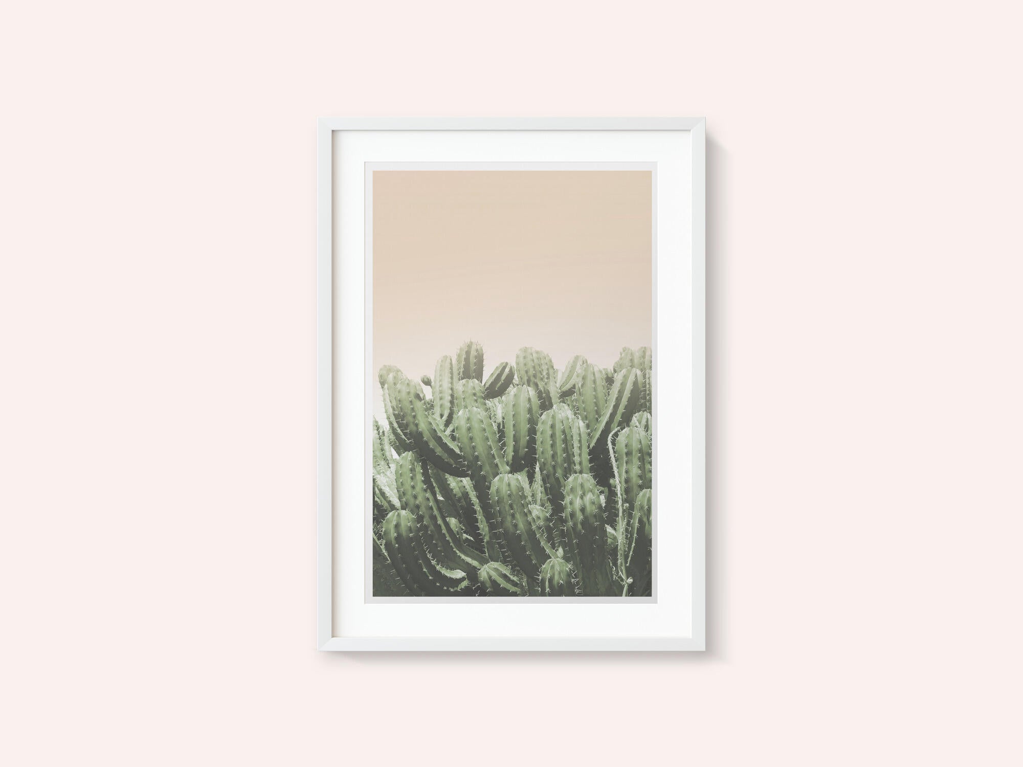 Desert’s Embrace