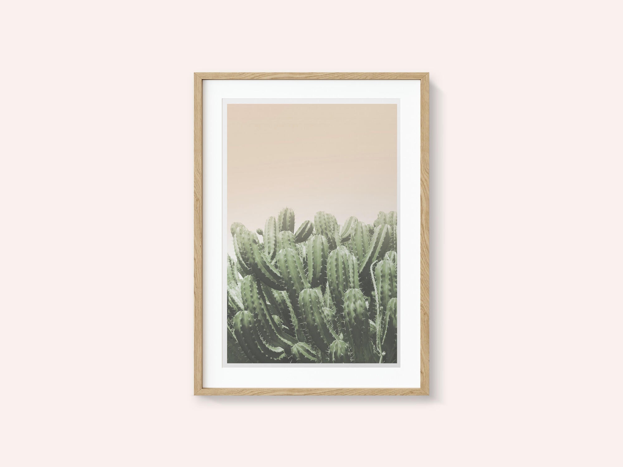 Desert’s Embrace