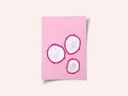 Dragon Fruit Trio