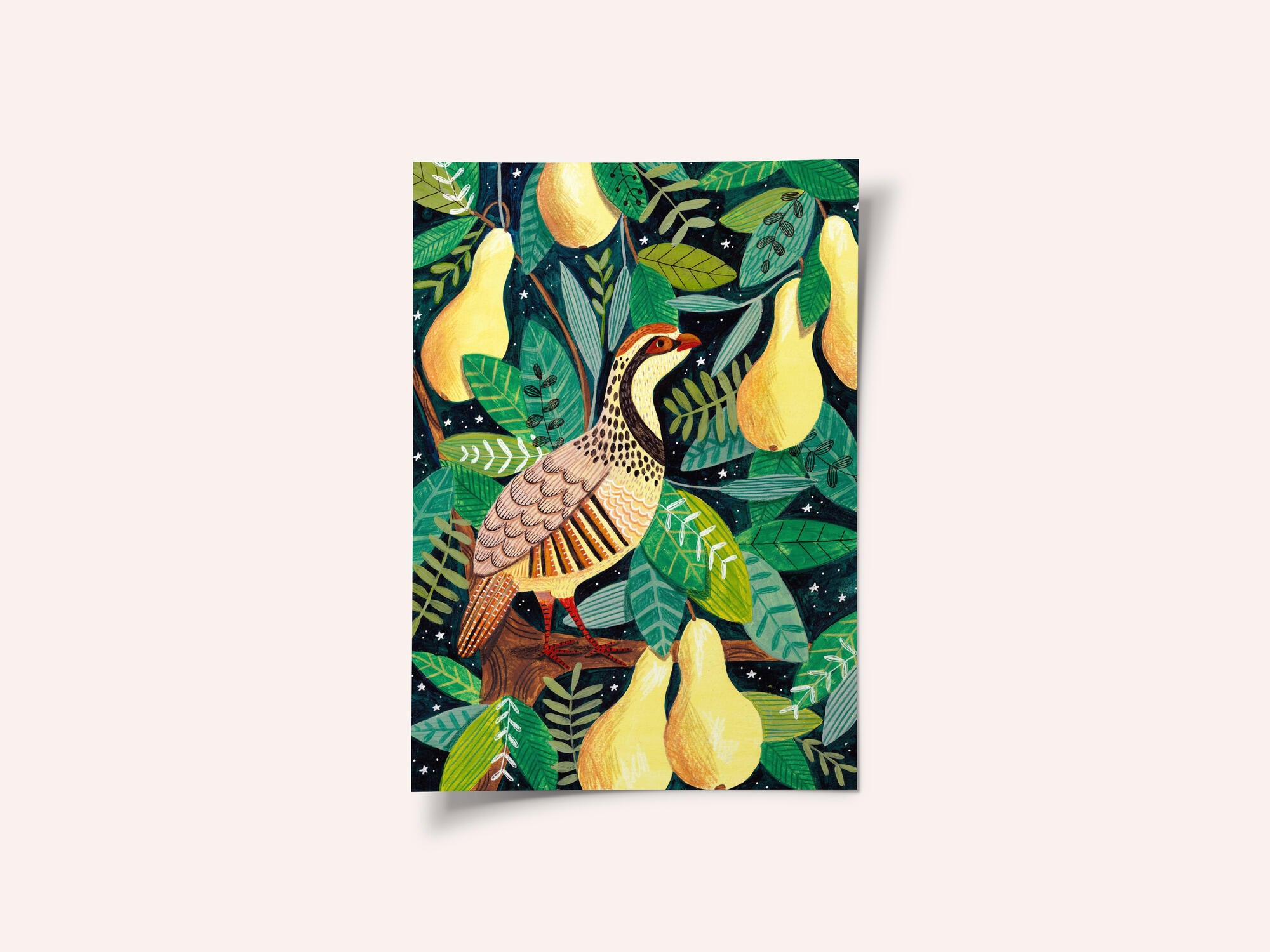 Partridge in a pear tree