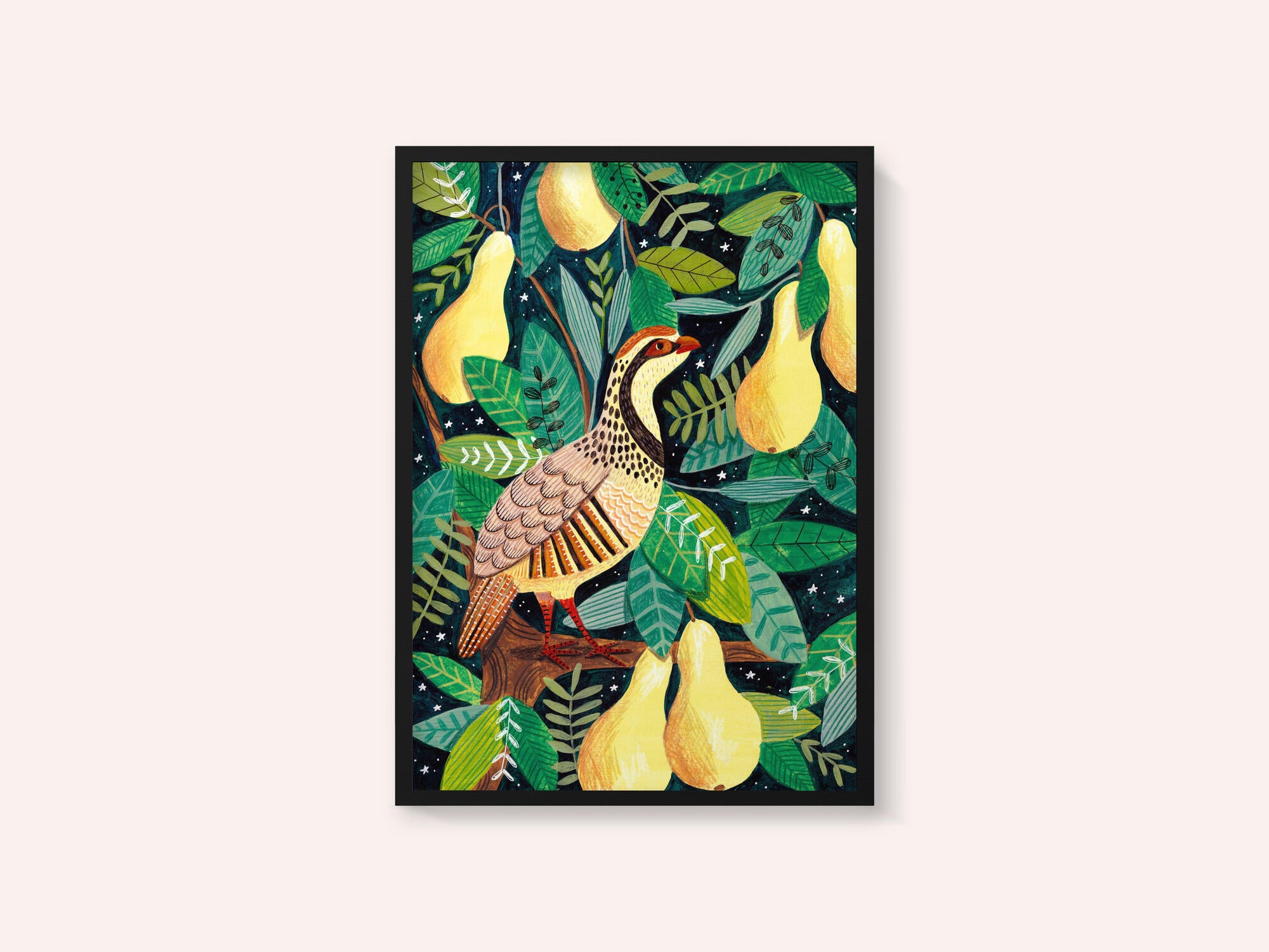 Partridge in a pear tree