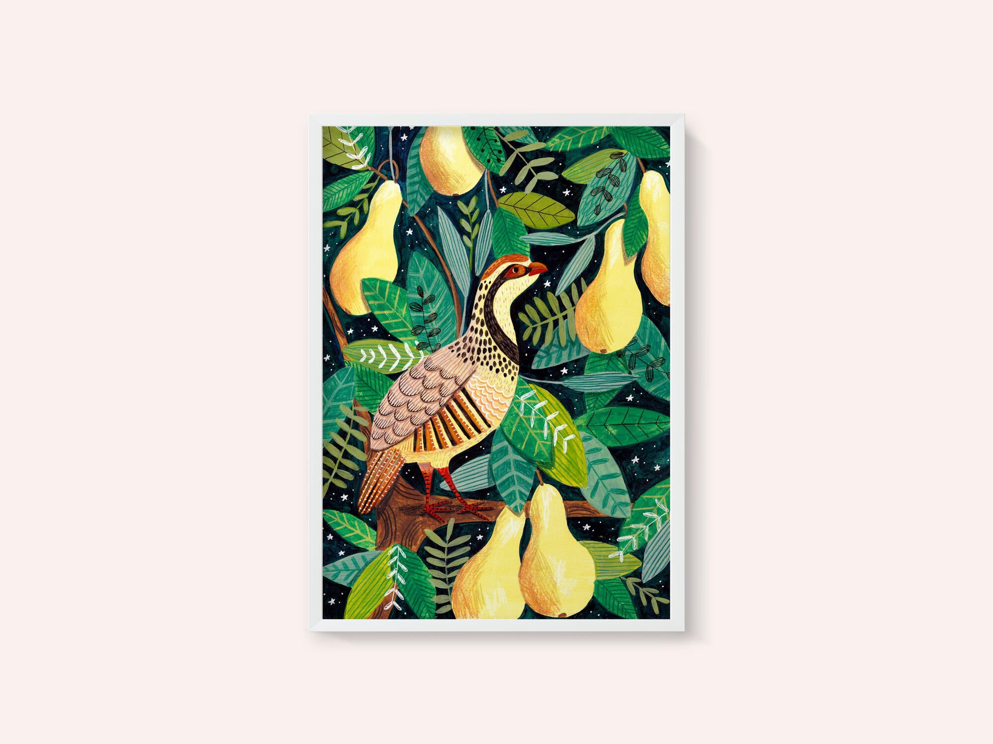 Partridge in a pear tree
