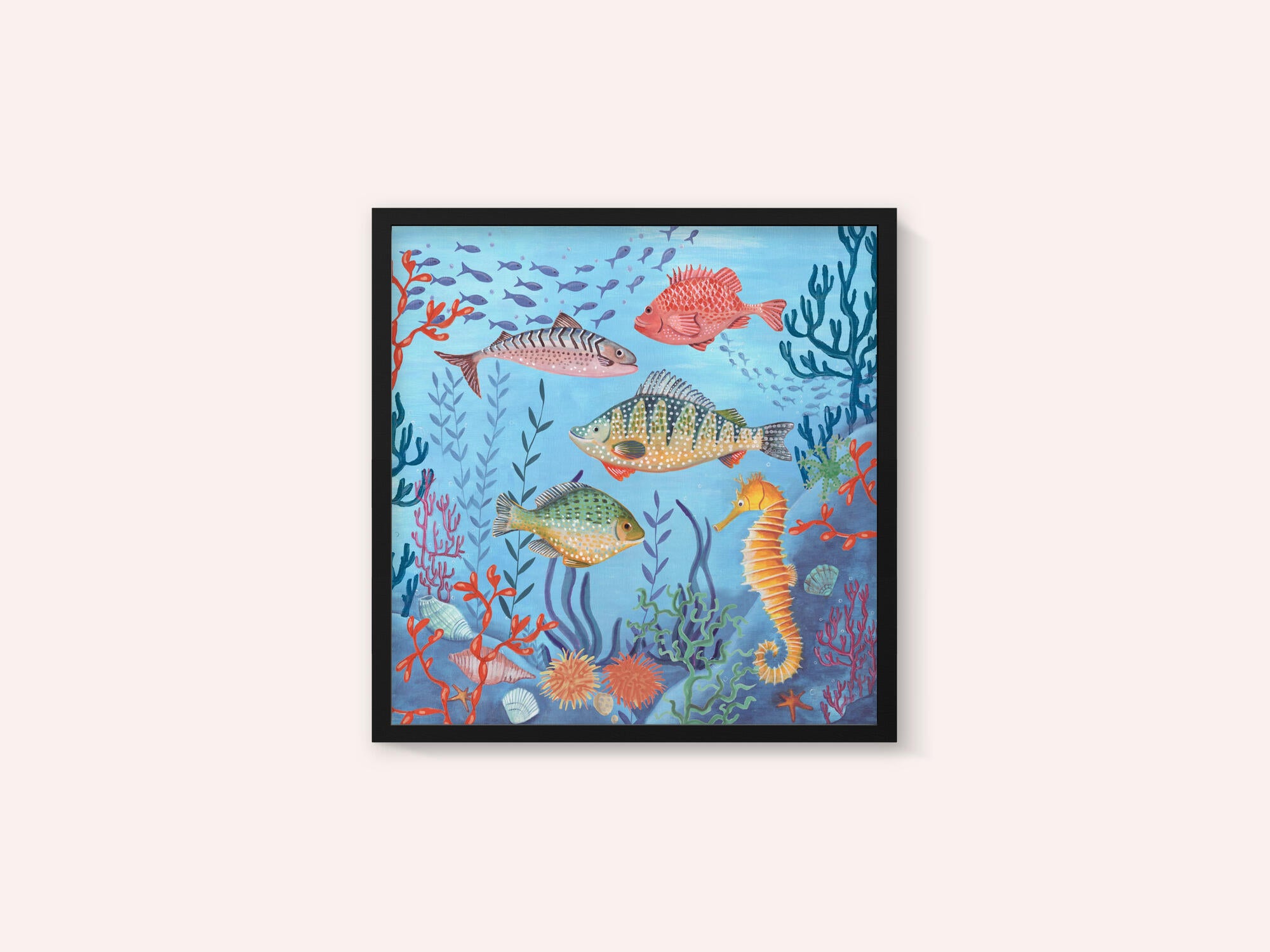 Ocean life