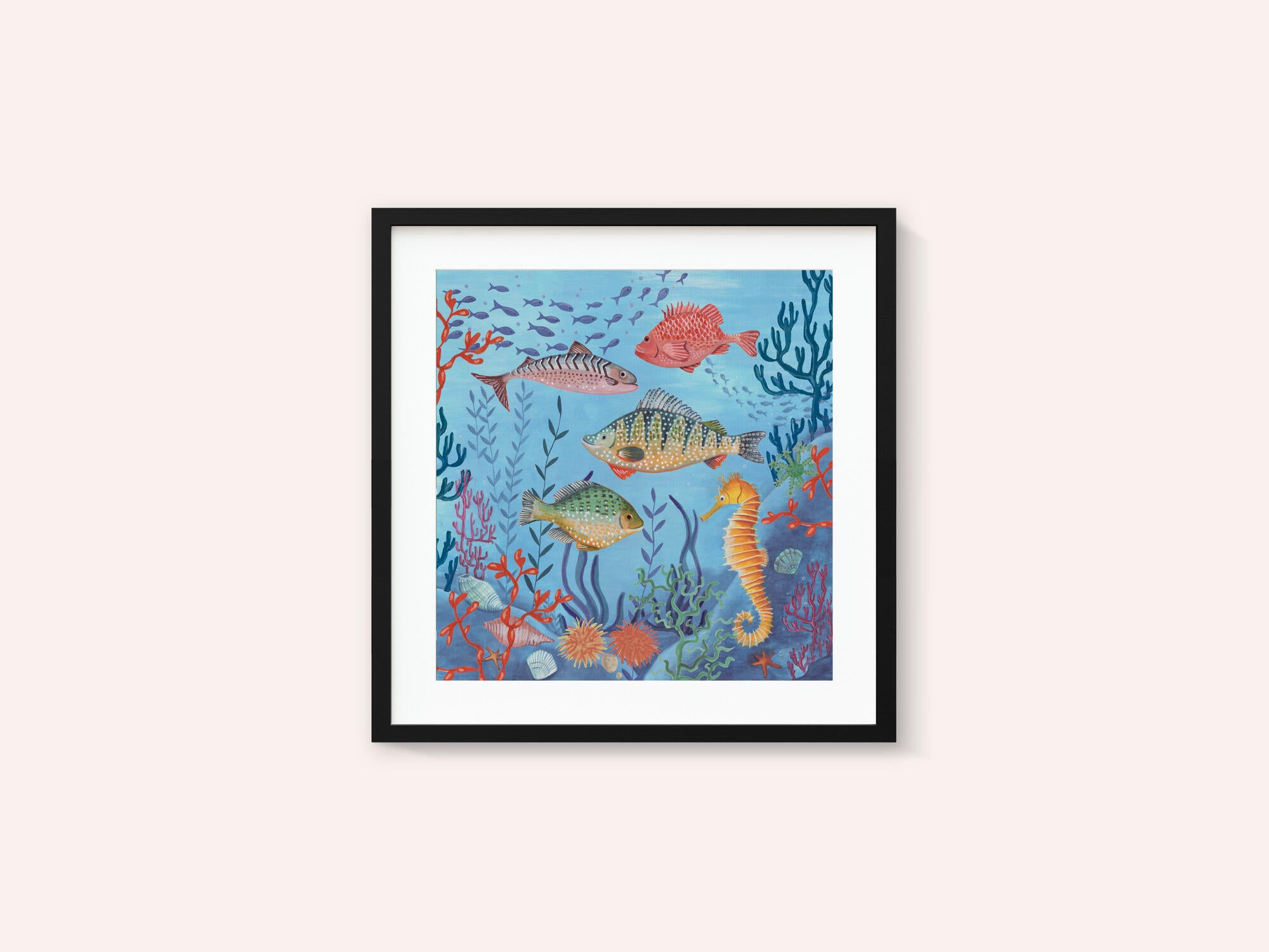 Ocean life