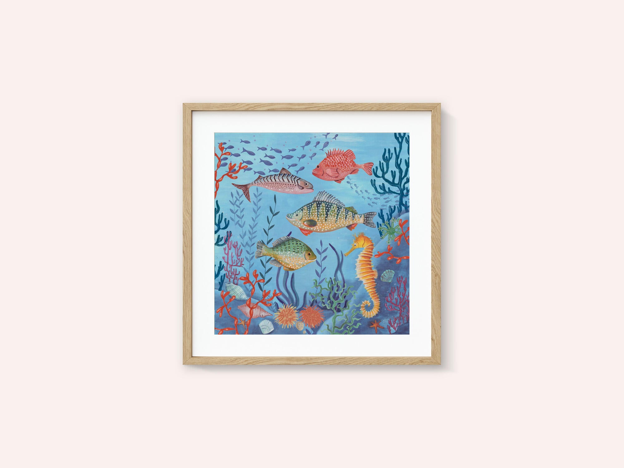Ocean life