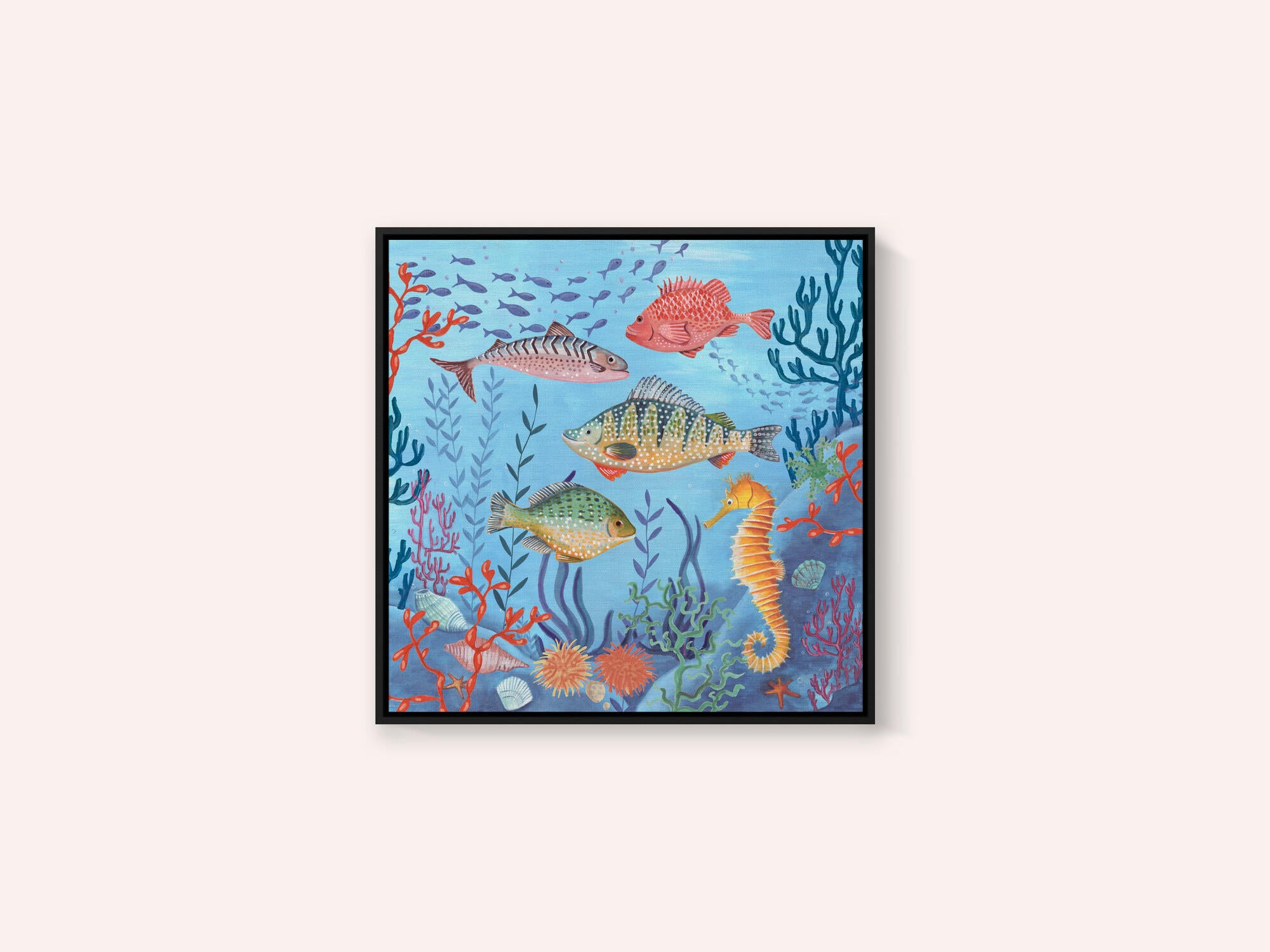Ocean life