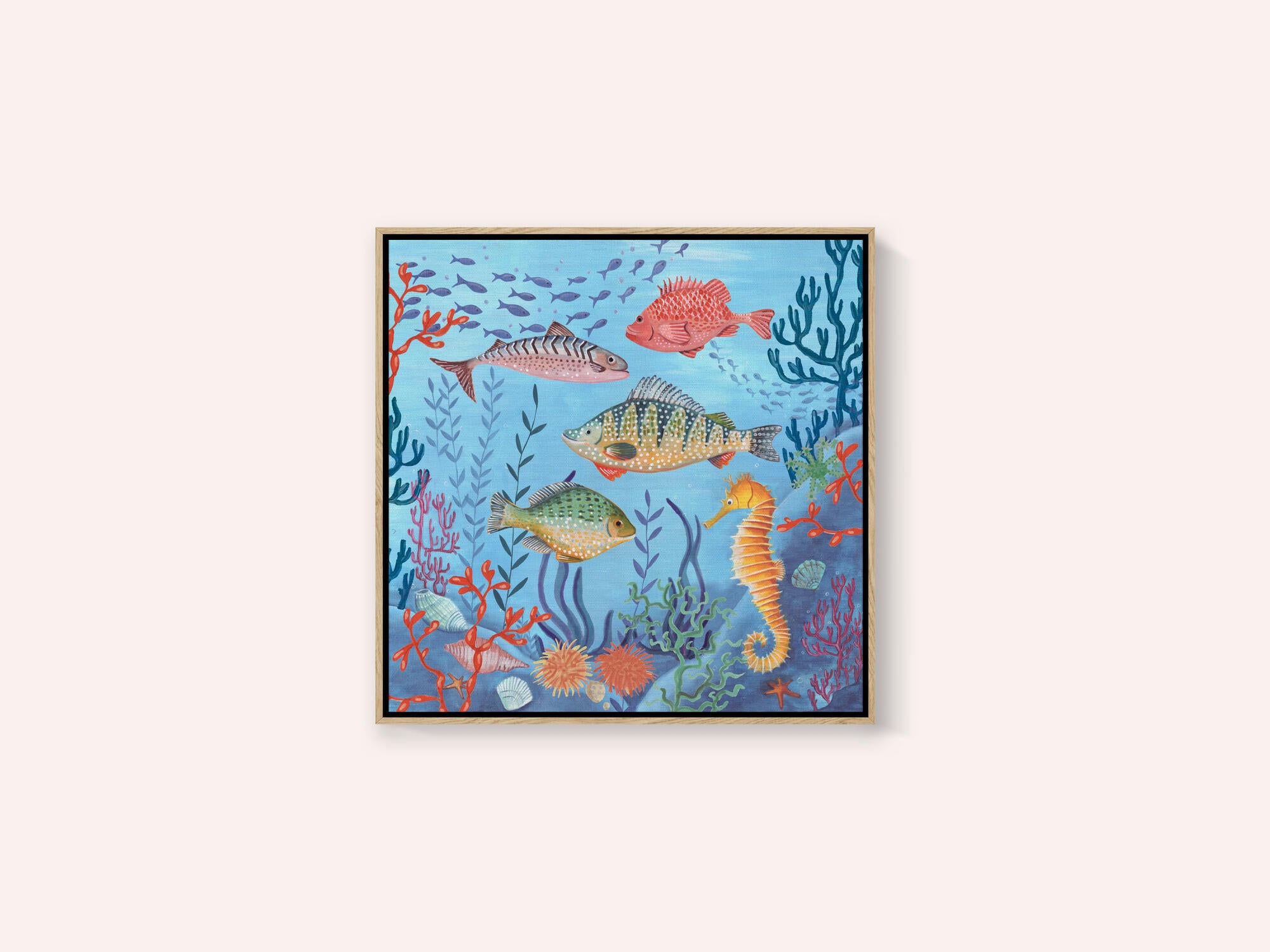 Ocean life