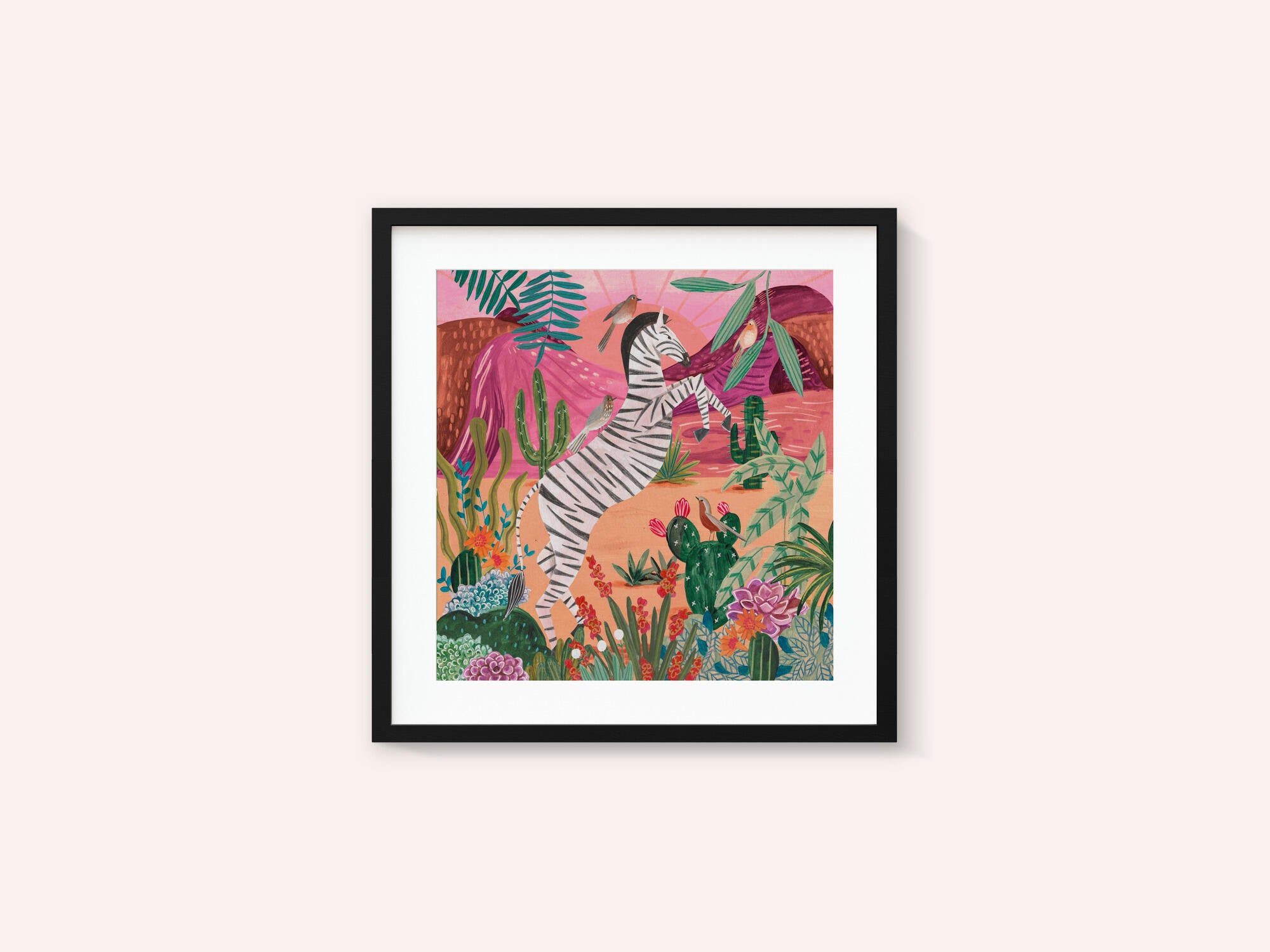 Zebra in the mountains