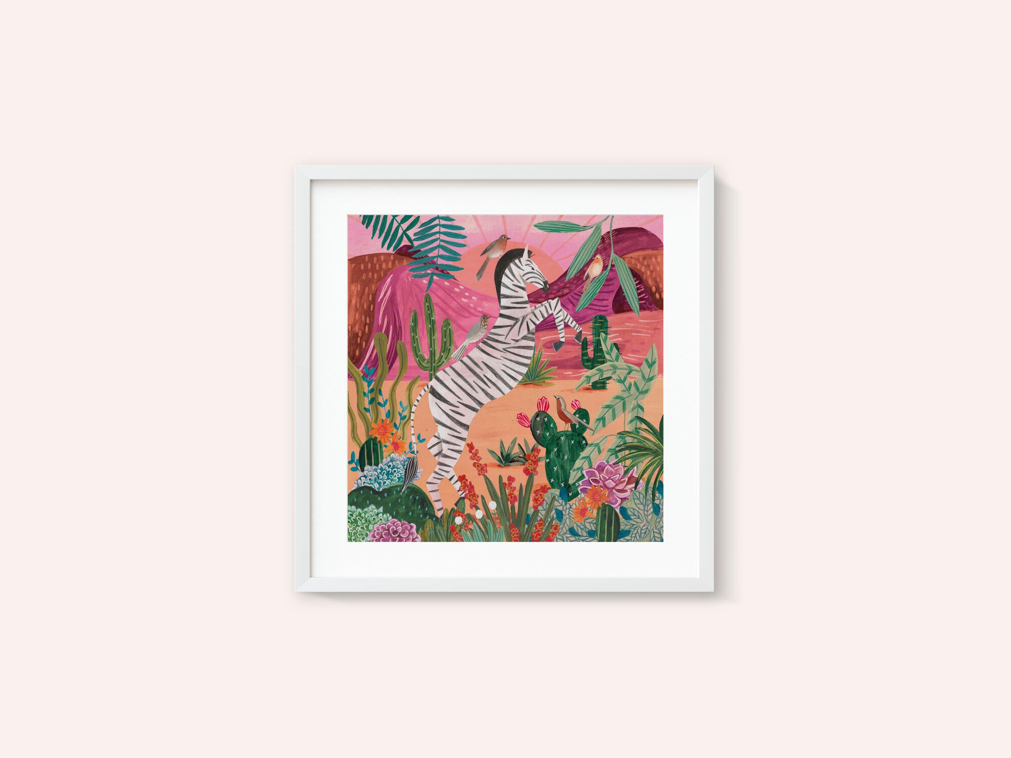 Zebra in the mountains