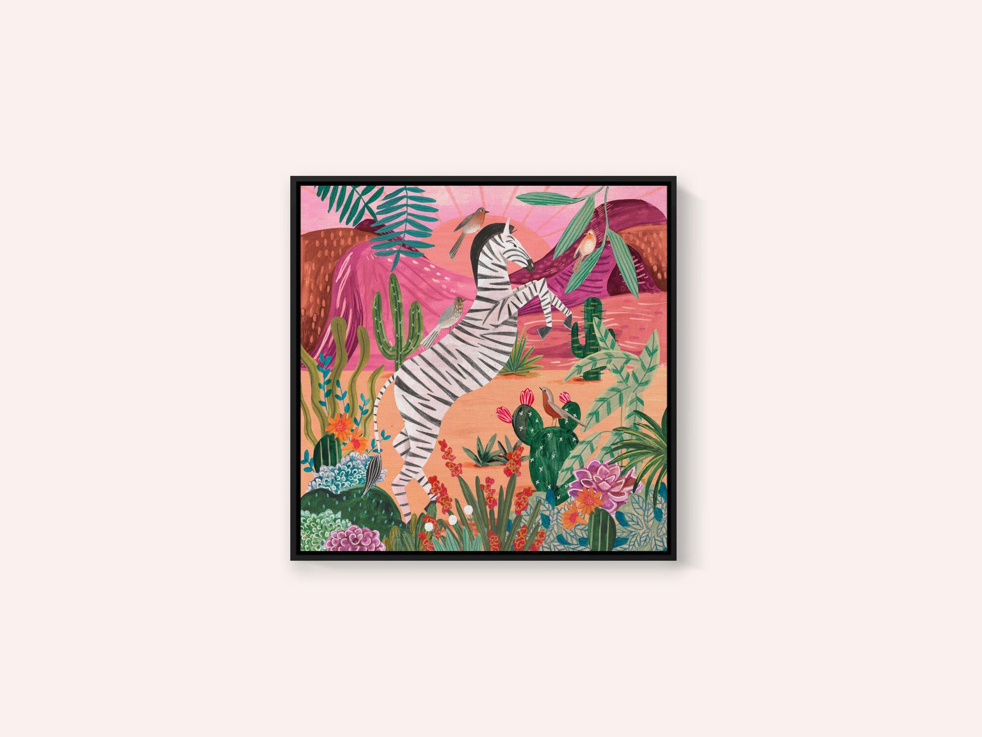 Zebra in the mountains
