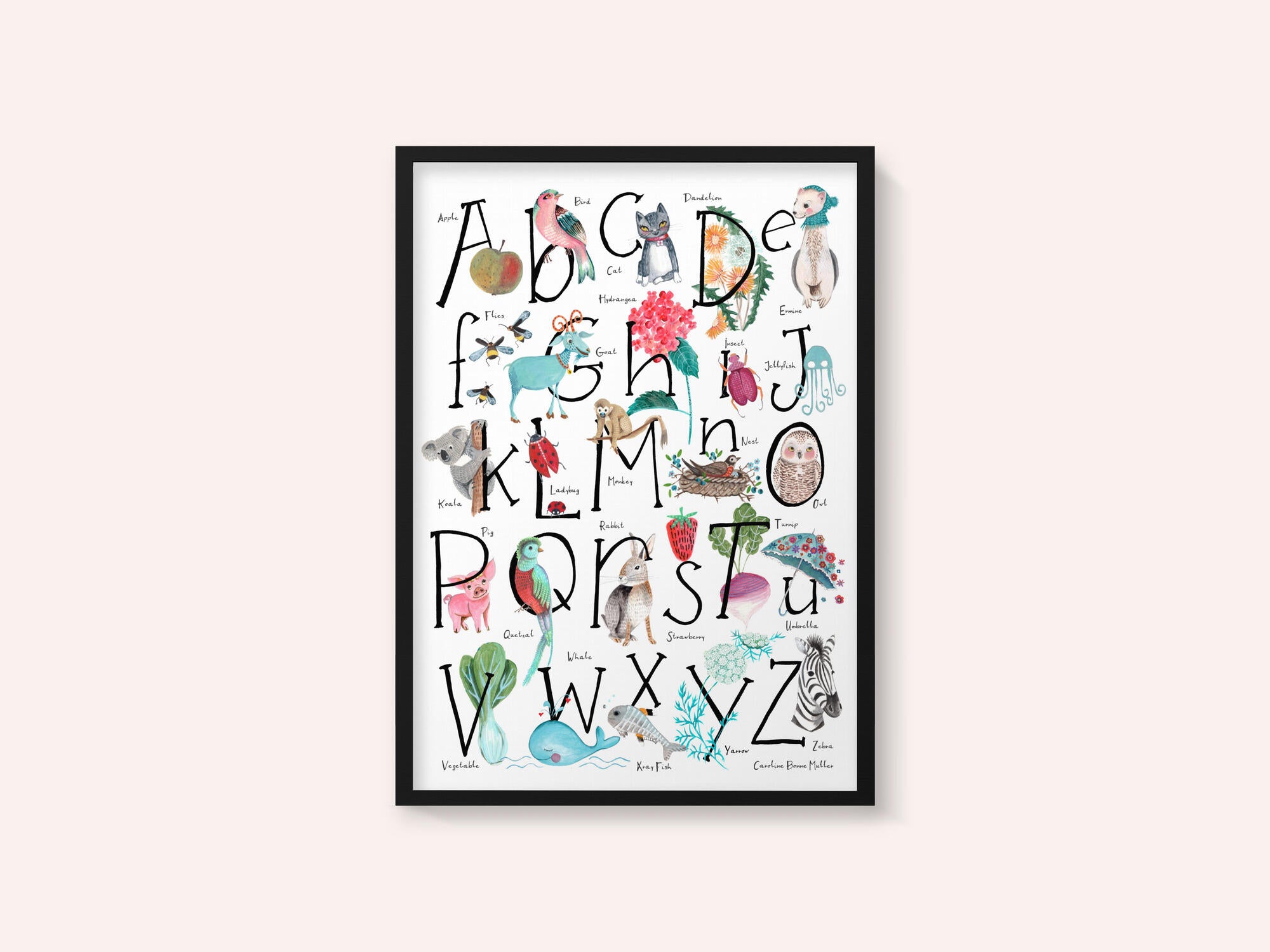 ABC illustration