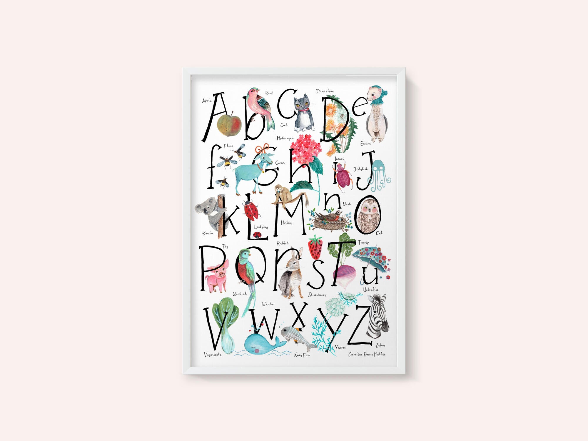 ABC illustration