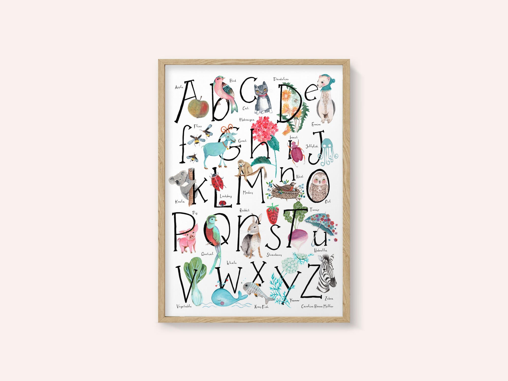 ABC illustration