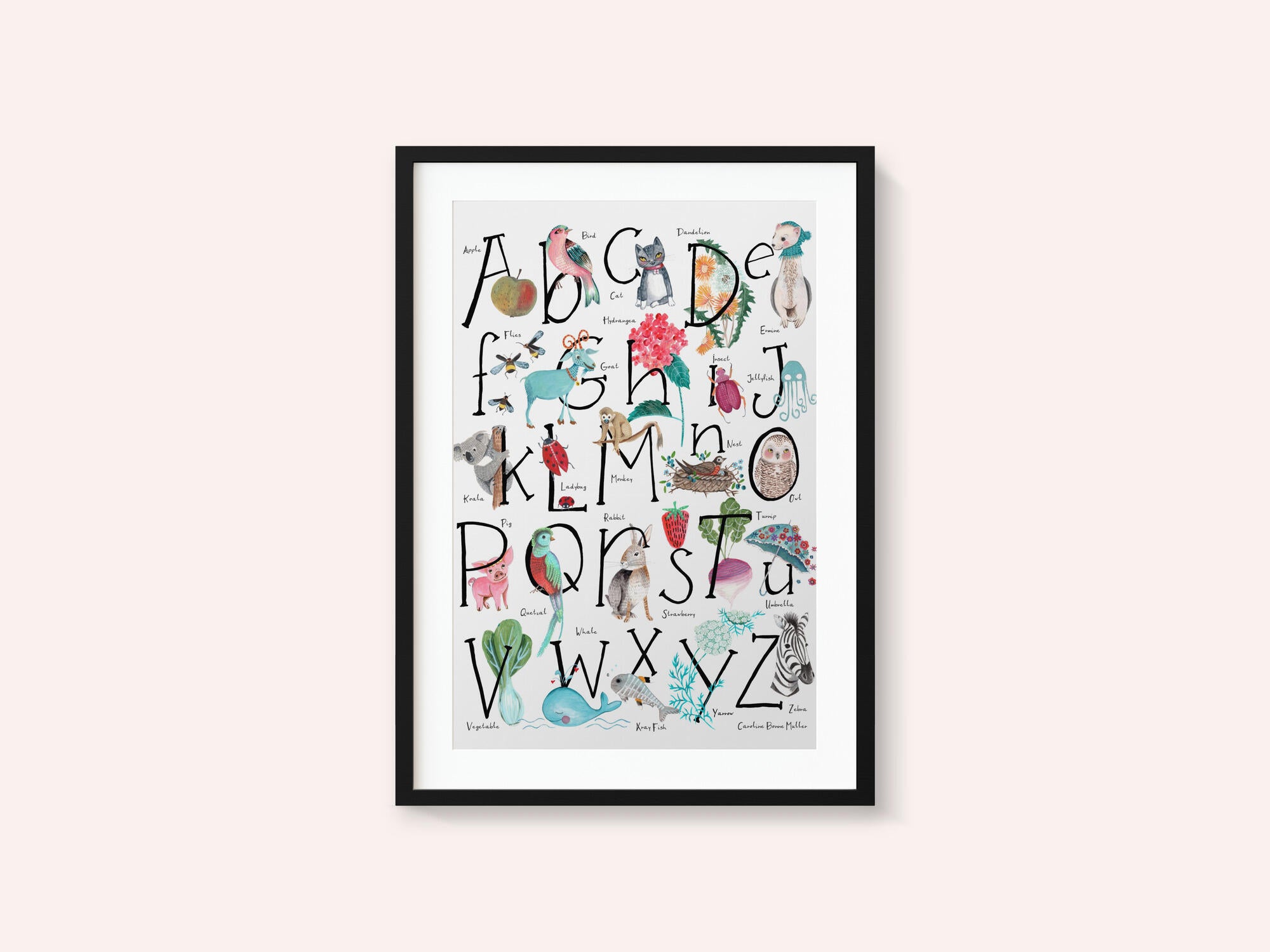 ABC illustration