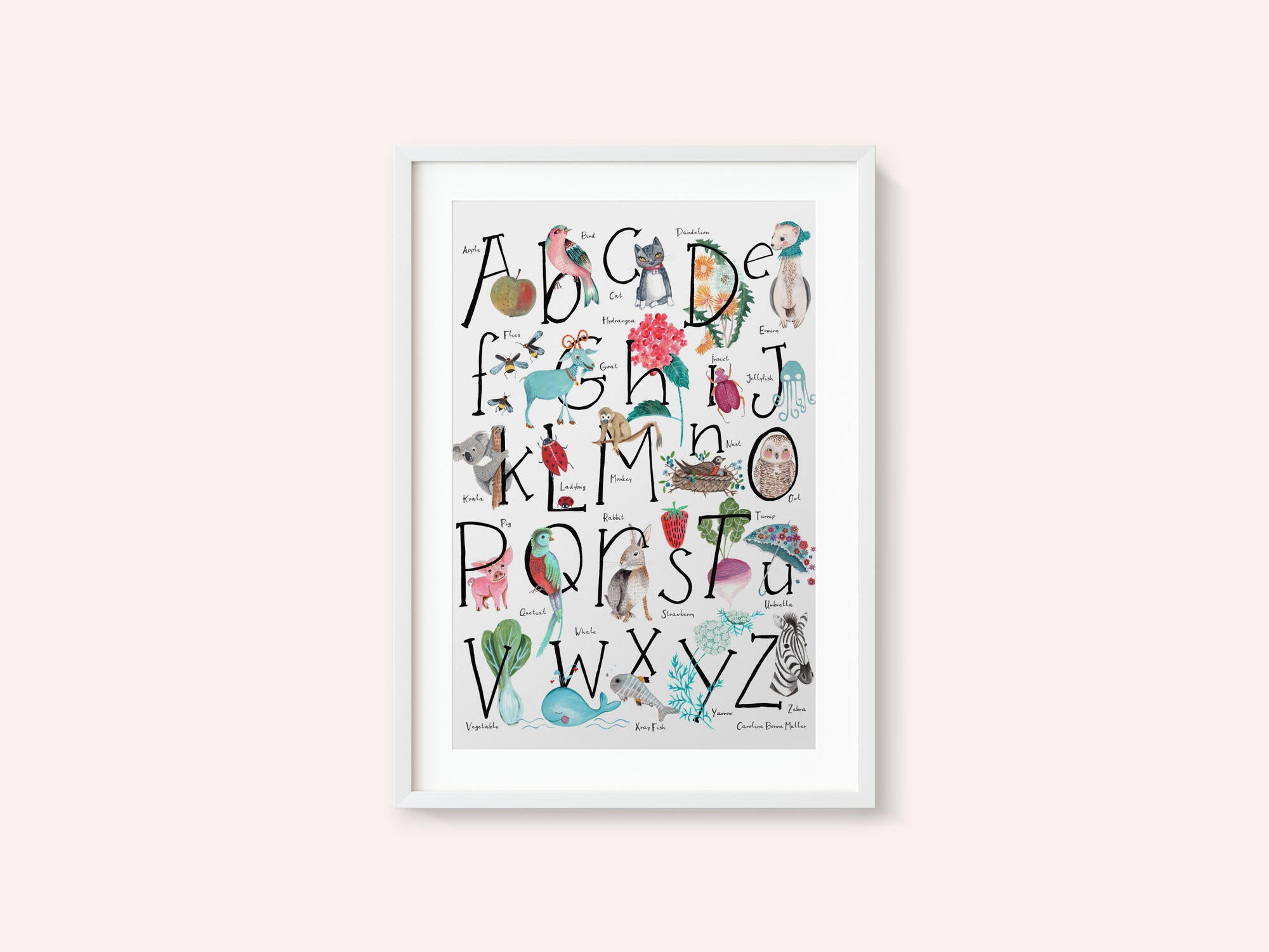 ABC illustration